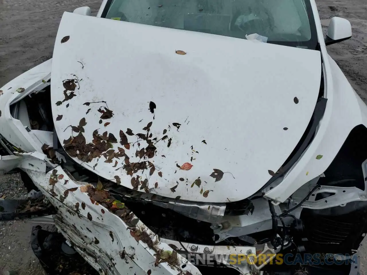 12 fotografías del automóvil dañado 7SAYGDEF9NF523483 TESLA MODEL Y 2022