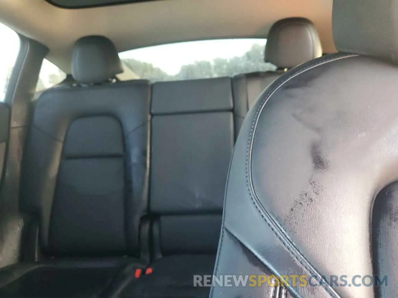 10 fotografías del automóvil dañado 7SAYGAEE0PF591891 TESLA MODEL Y 2023