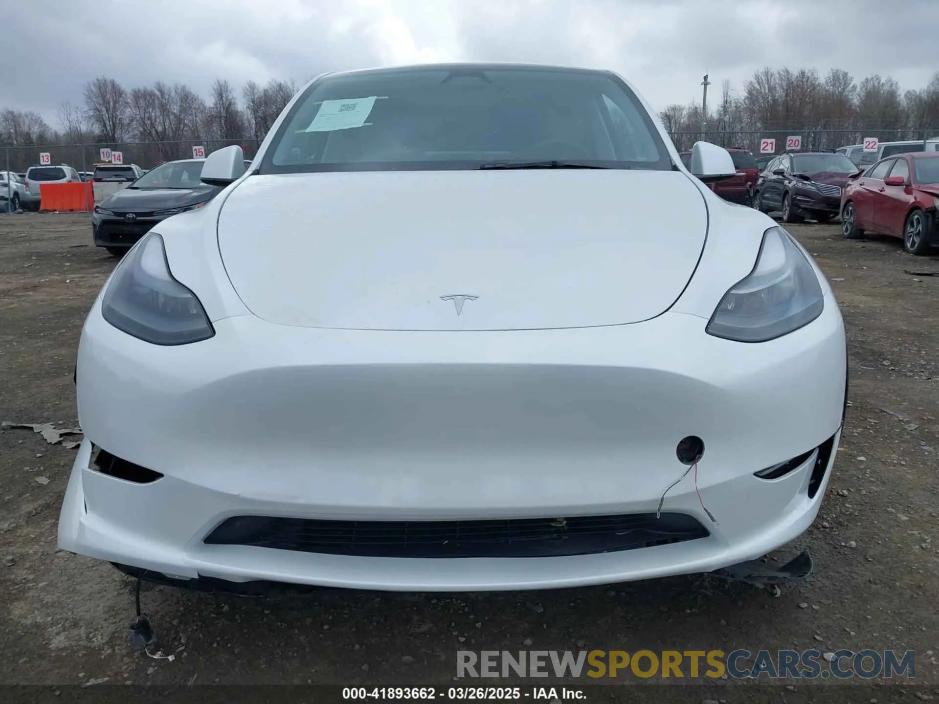 12 fotografías del automóvil dañado 7SAYGAEE2PF915374 TESLA MODEL Y 2023