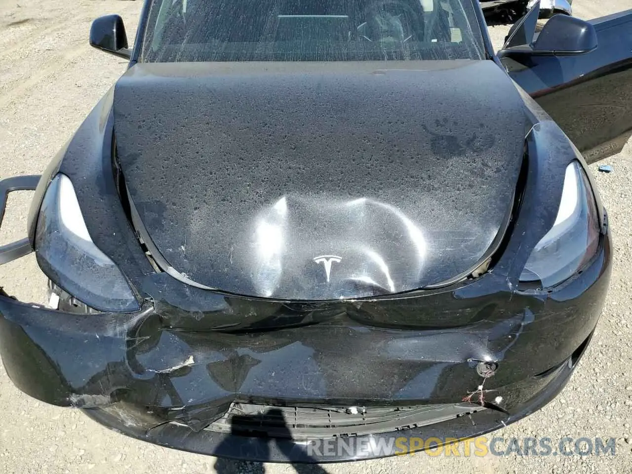 11 fotografías del automóvil dañado 7SAYGAEE4PF695123 TESLA MODEL Y 2023