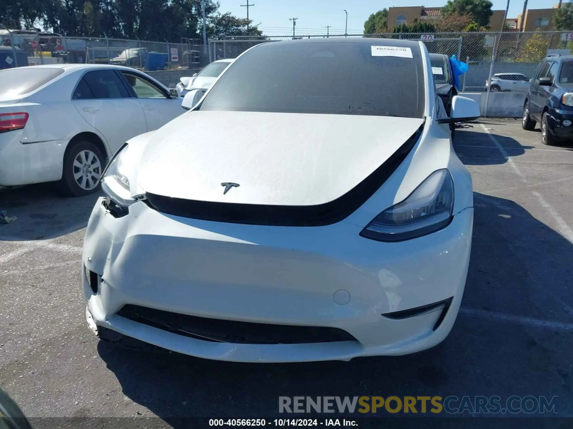 12 fotografías del automóvil dañado 7SAYGAEE6PF611528 TESLA MODEL Y 2023