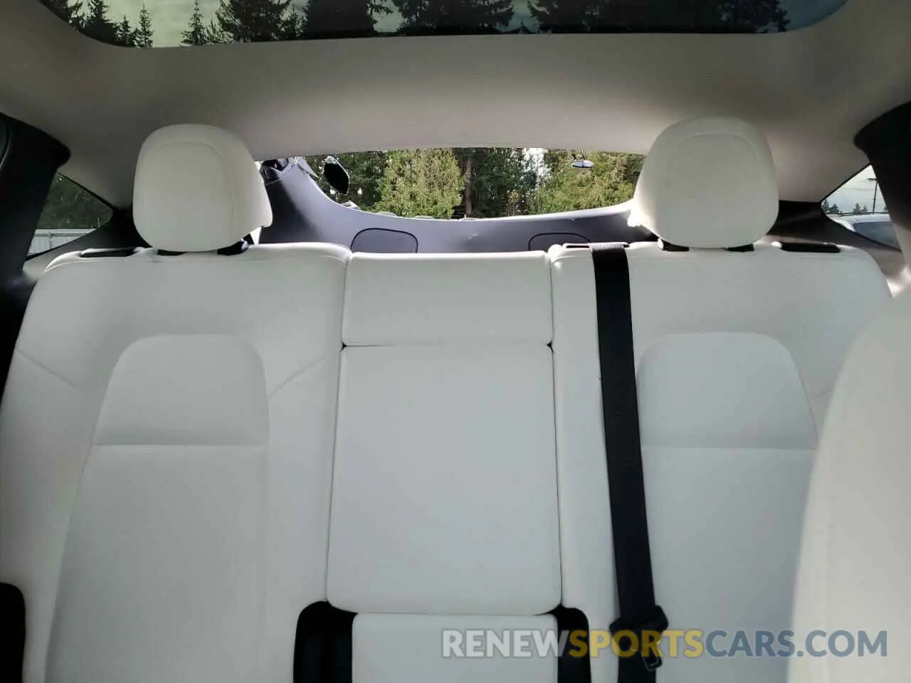 10 fotografías del automóvil dañado 7SAYGAEE6PF827170 TESLA MODEL Y 2023