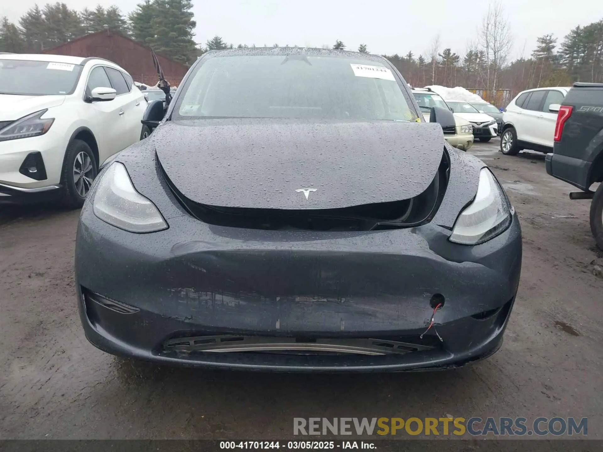 12 fotografías del automóvil dañado 7SAYGAEE6PF850027 TESLA MODEL Y 2023