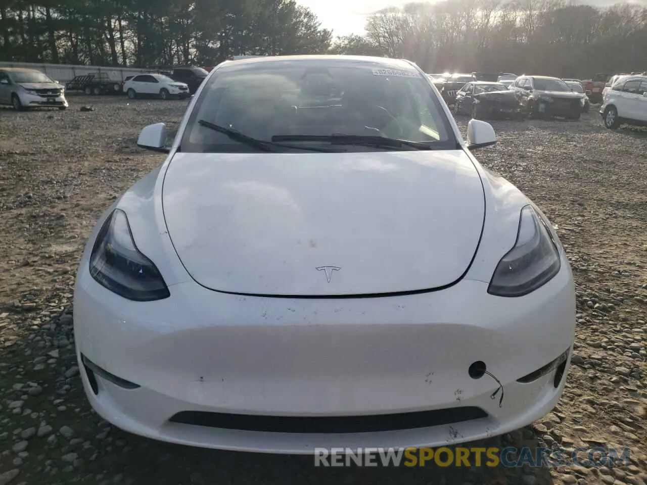 5 fotografías del automóvil dañado 7SAYGAEE7PF749059 TESLA MODEL Y 2023