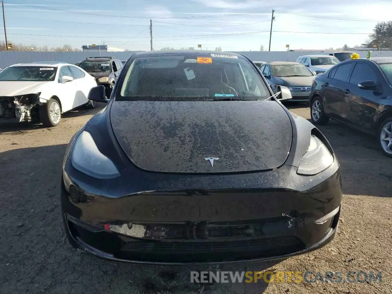 5 fotografías del automóvil dañado 7SAYGAEE7PF859030 TESLA MODEL Y 2023