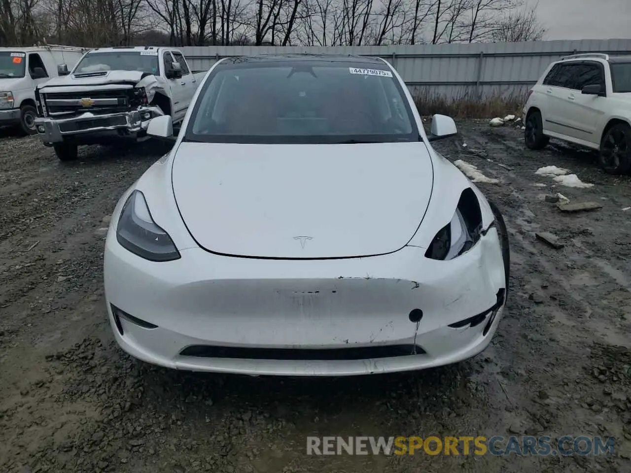5 fotografías del automóvil dañado 7SAYGAEE7PF911417 TESLA MODEL Y 2023