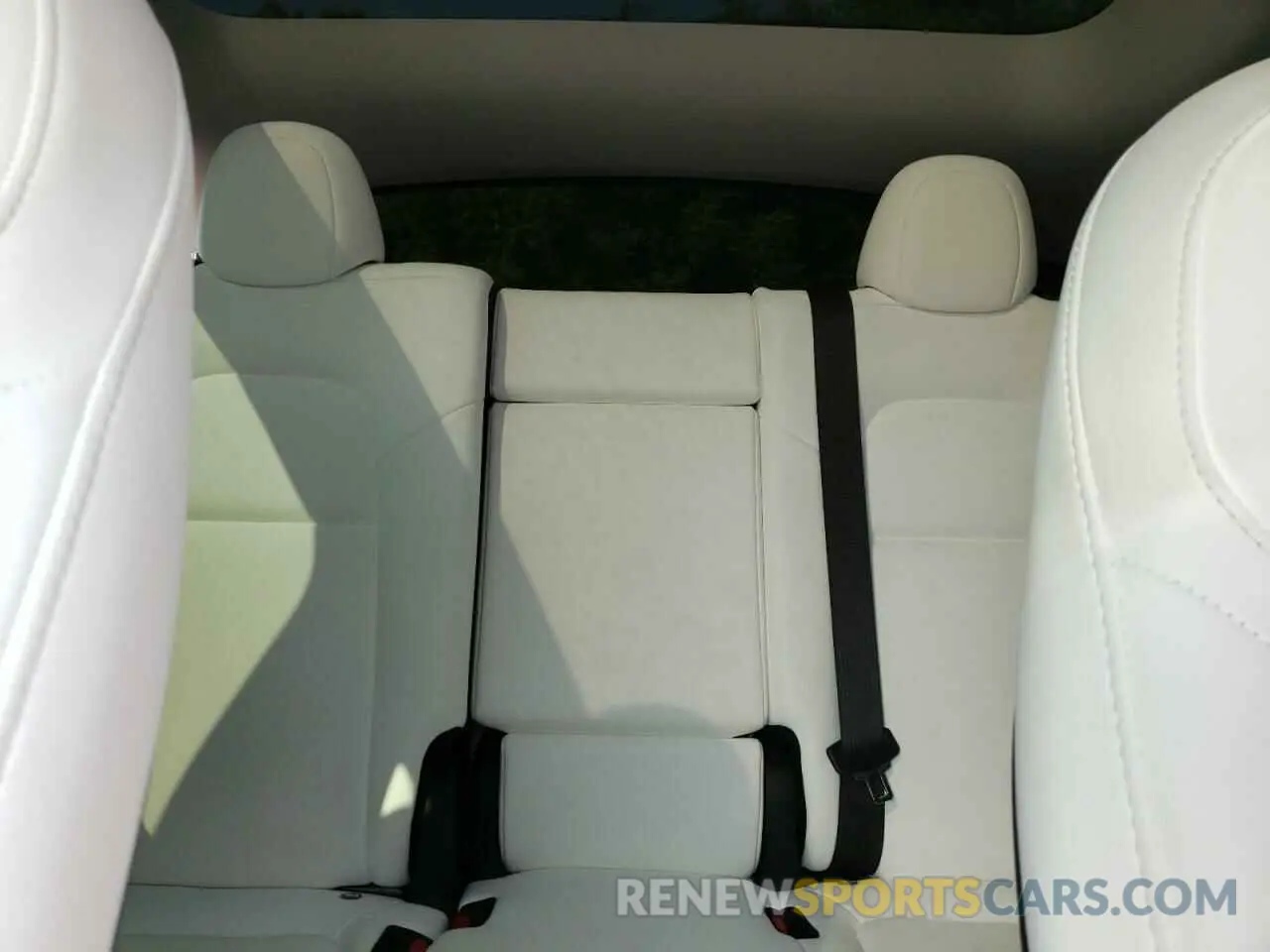 10 fotografías del automóvil dañado 7SAYGAEE8PF761897 TESLA MODEL Y 2023