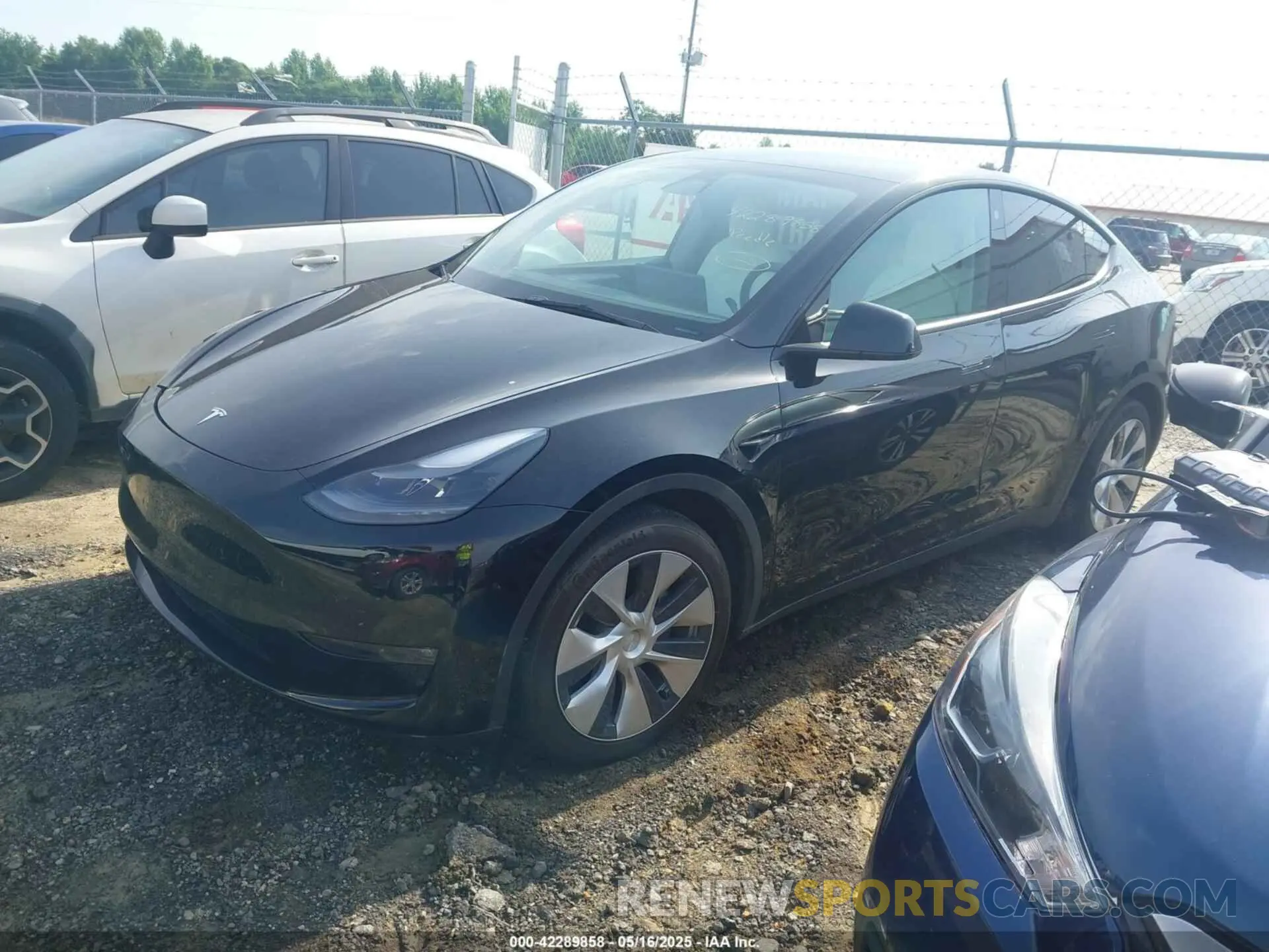 2 fotografías del automóvil dañado 7SAYGAEEXPF711924 TESLA MODEL Y 2023