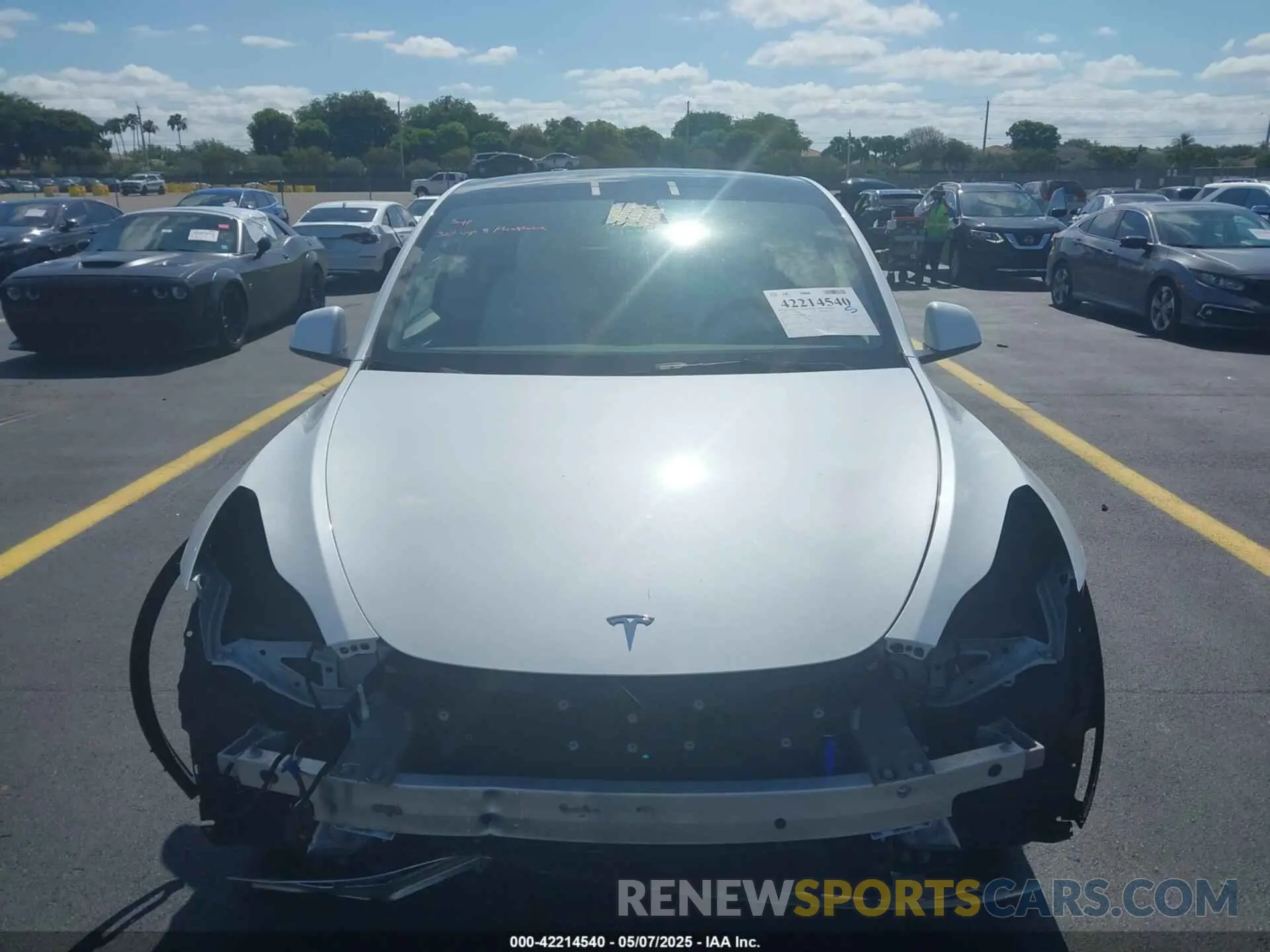 12 fotografías del automóvil dañado 7SAYGDED7PF945916 TESLA MODEL Y 2023