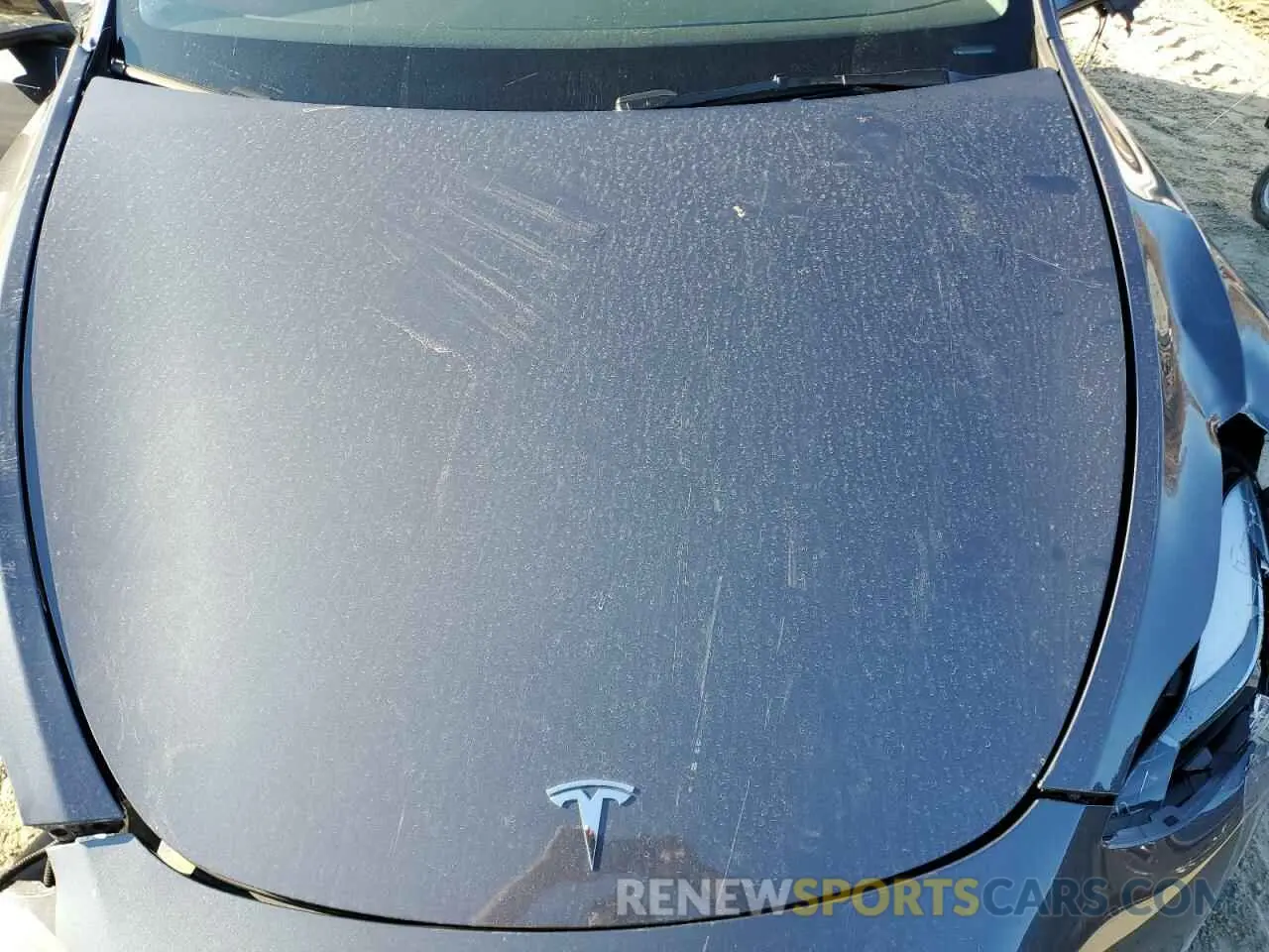 11 fotografías del automóvil dañado 7SAYGDED8PF957265 TESLA MODEL Y 2023