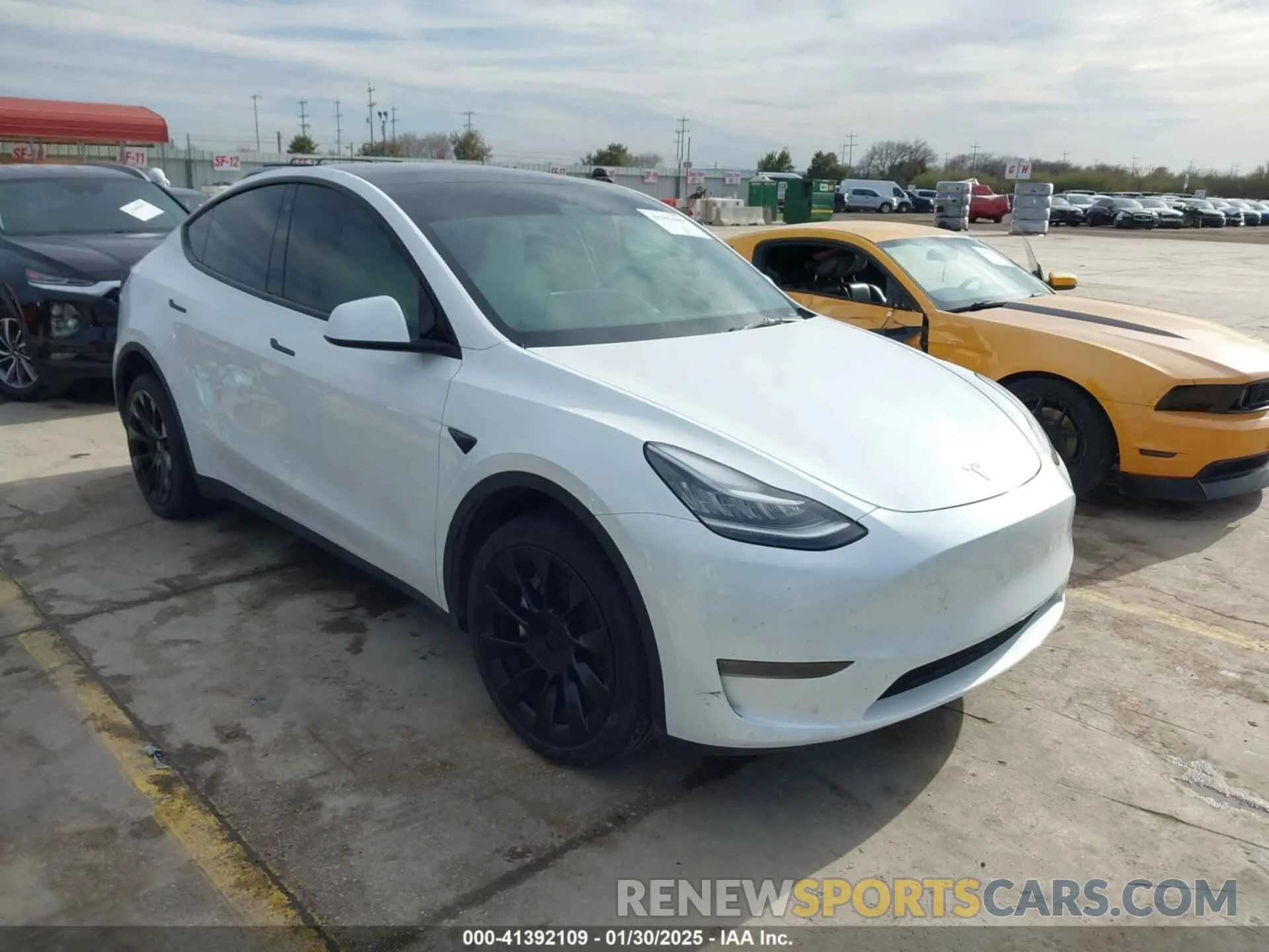 1 fotografías del automóvil dañado 7SAYGDEE0PA070121 TESLA MODEL Y 2023