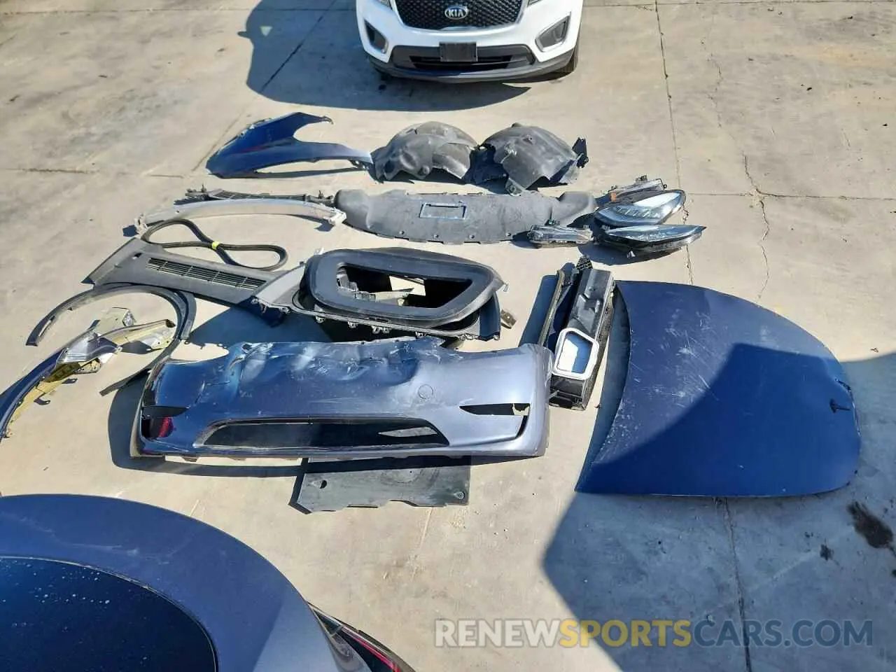13 fotografías del automóvil dañado 7SAYGDEE0PA152477 TESLA MODEL Y 2023