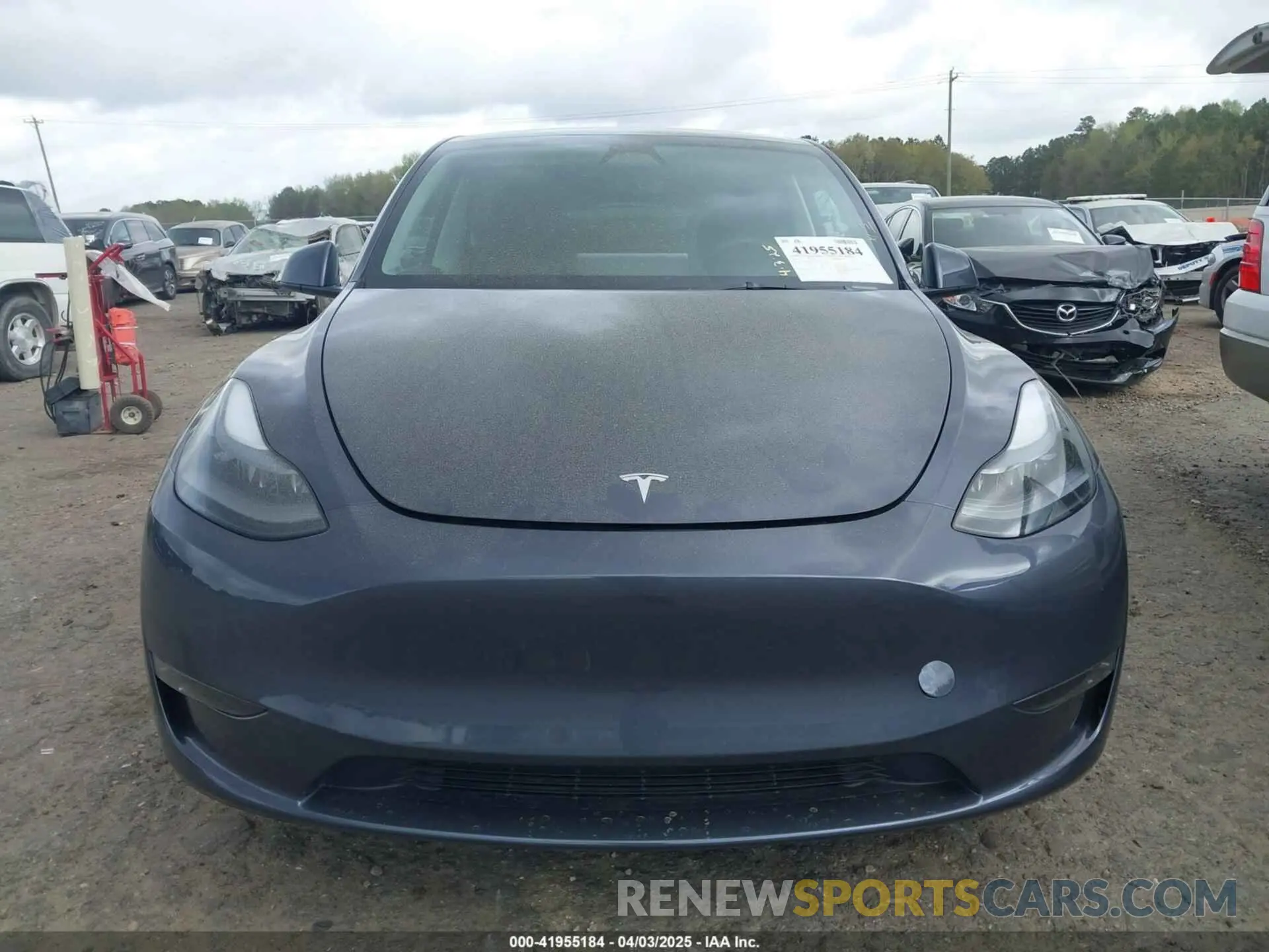 12 fotografías del automóvil dañado 7SAYGDEE0PA177332 TESLA MODEL Y 2023