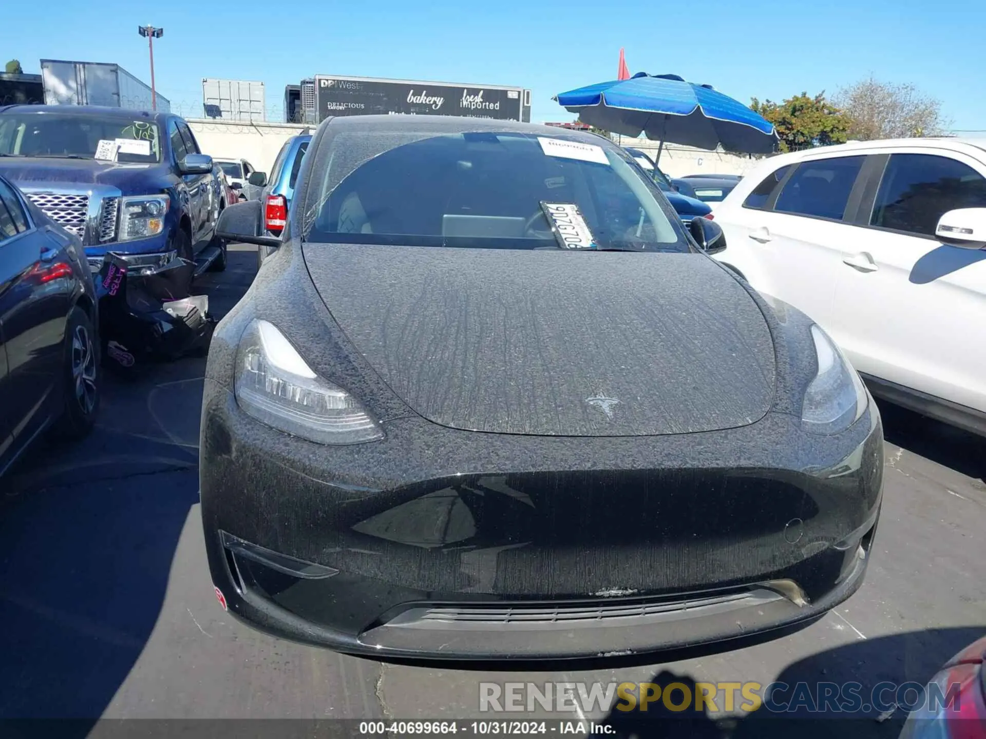 12 fotografías del automóvil dañado 7SAYGDEE1PA027634 TESLA MODEL Y 2023