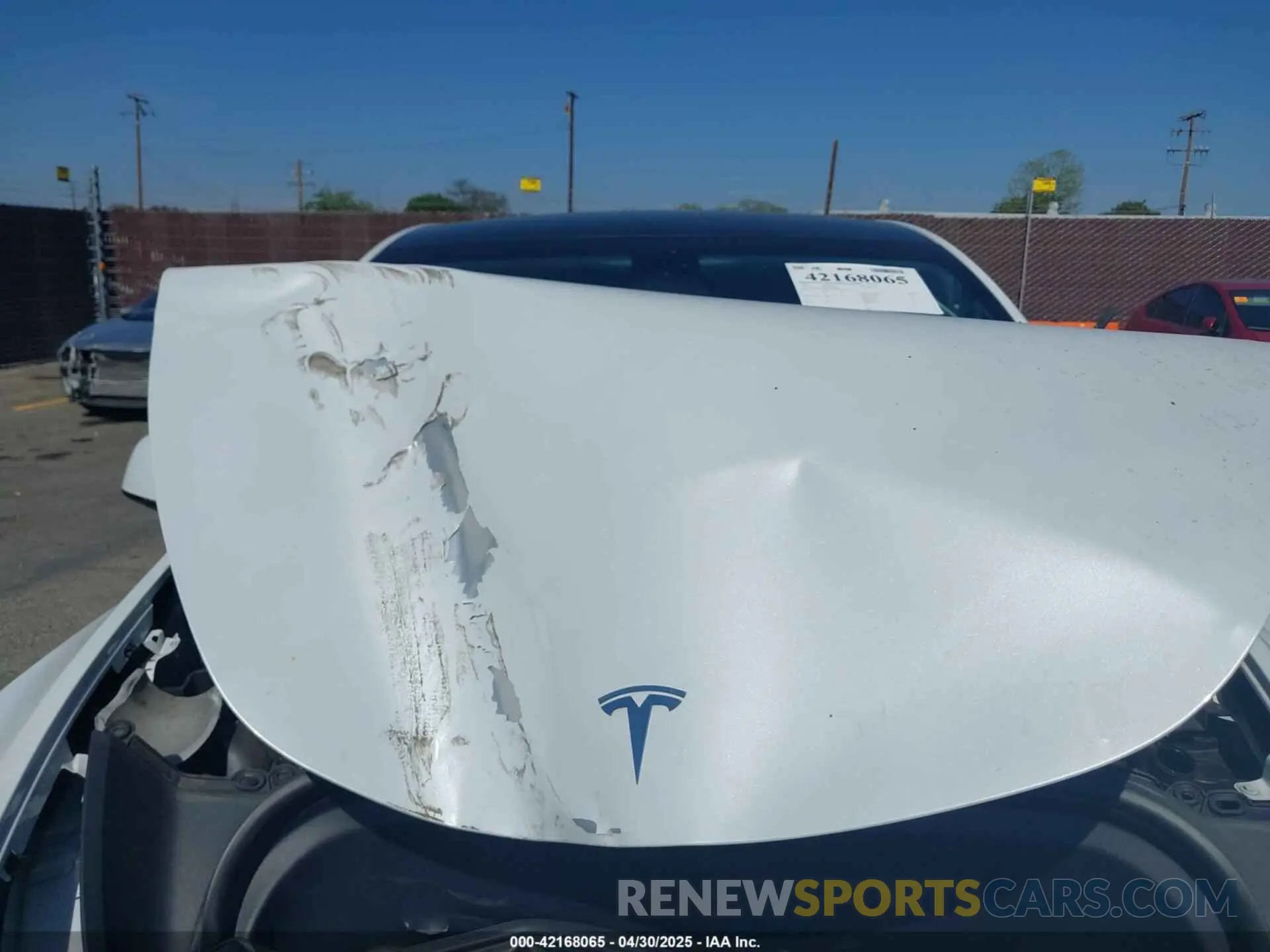 10 fotografías del automóvil dañado 7SAYGDEE1PA034664 TESLA MODEL Y 2023