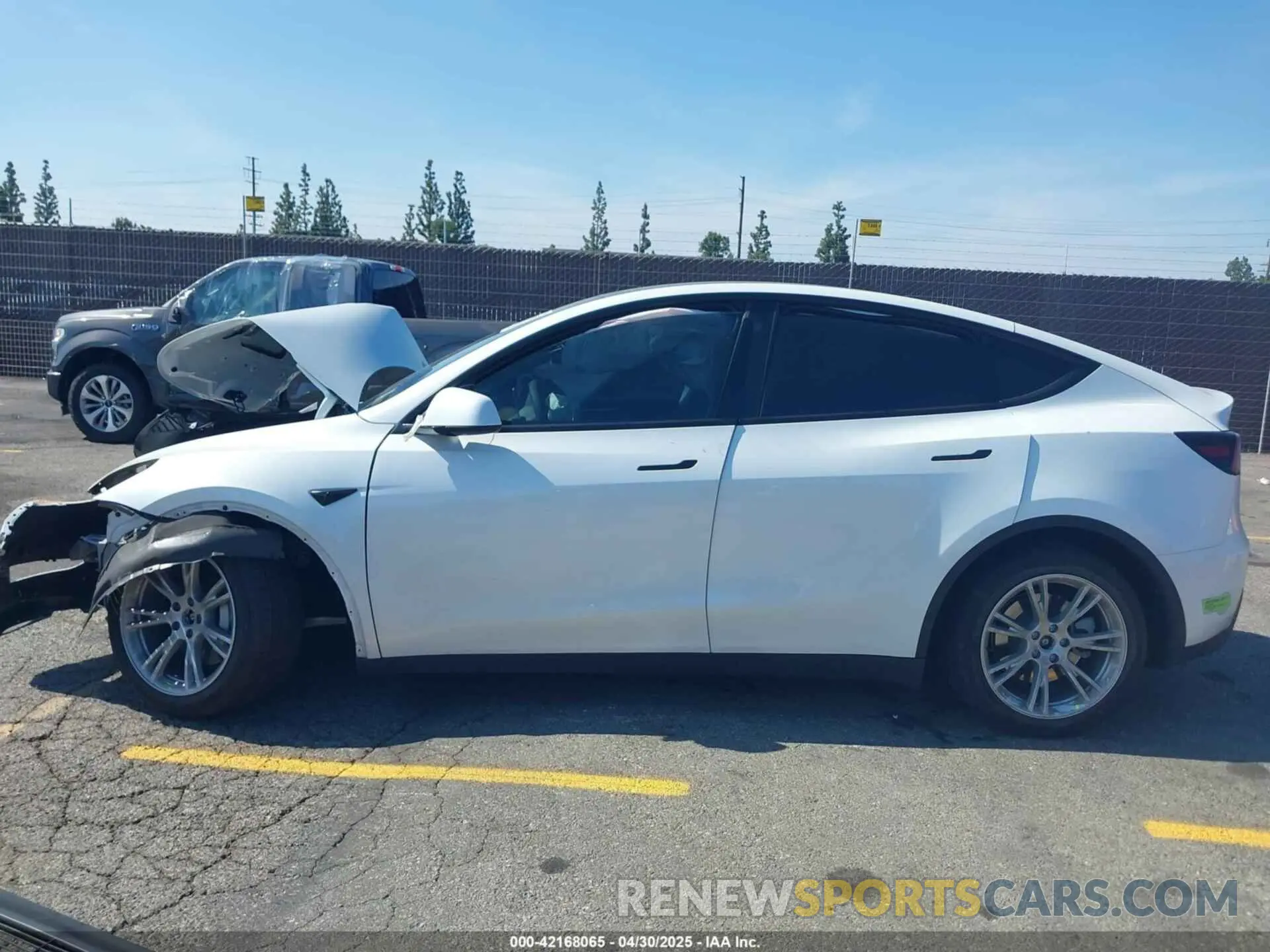 13 fotografías del automóvil dañado 7SAYGDEE1PA034664 TESLA MODEL Y 2023