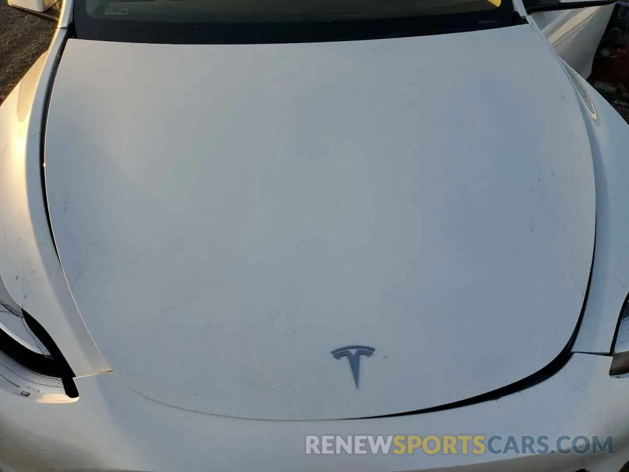 13 fotografías del automóvil dañado 7SAYGDEE1PA039069 TESLA MODEL Y 2023