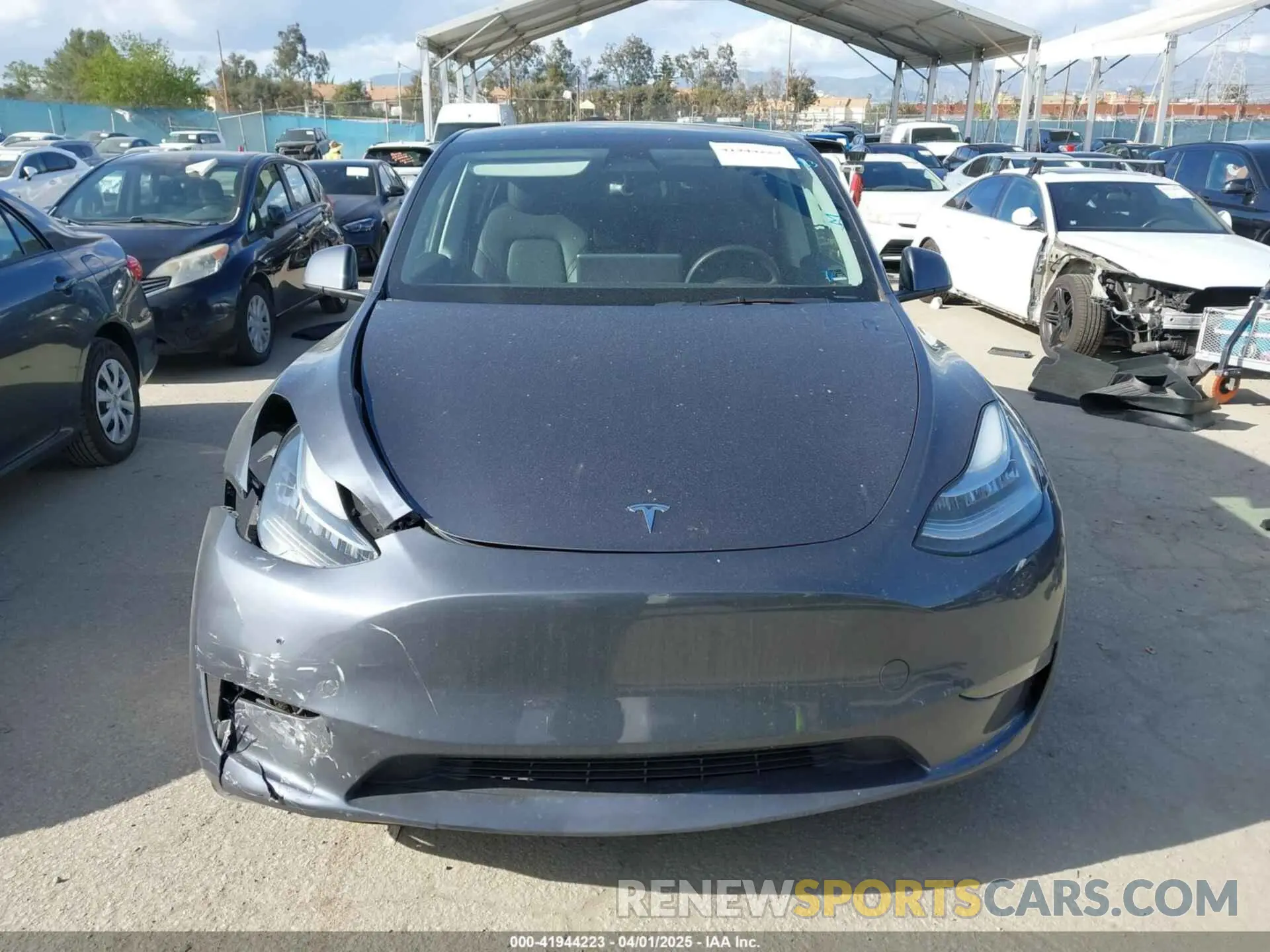 11 fotografías del automóvil dañado 7SAYGDEE1PA086375 TESLA MODEL Y 2023