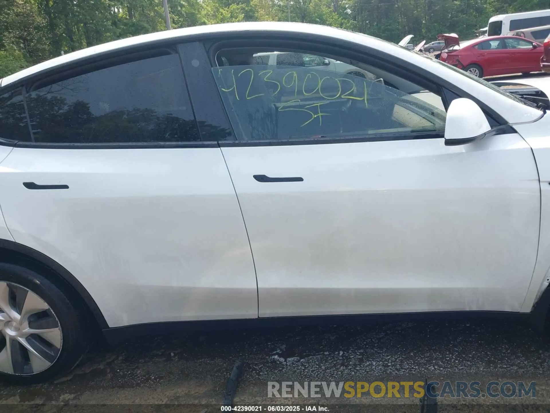 12 fotografías del automóvil dañado 7SAYGDEE1PF647564 TESLA MODEL Y 2023