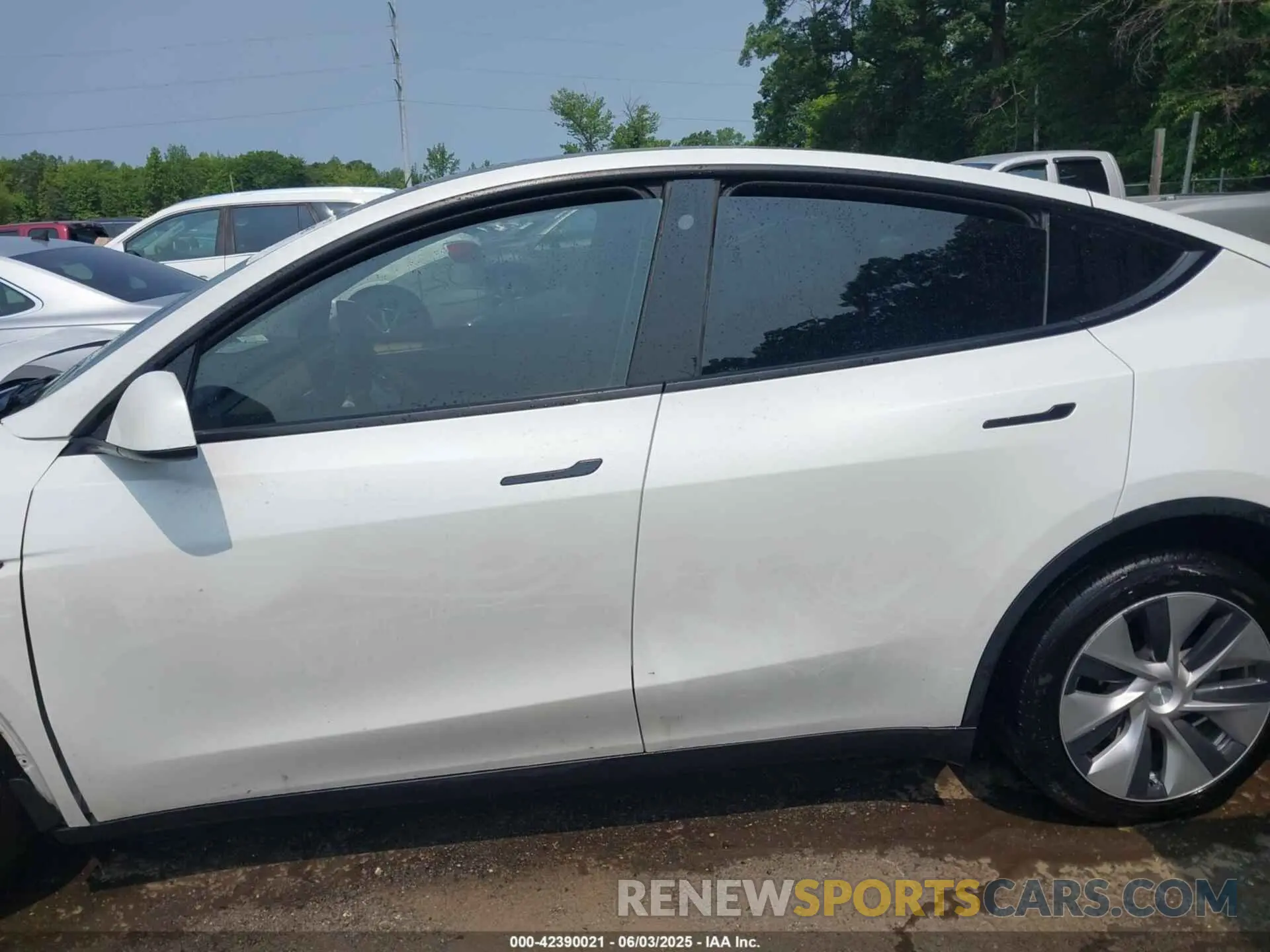 13 fotografías del automóvil dañado 7SAYGDEE1PF647564 TESLA MODEL Y 2023