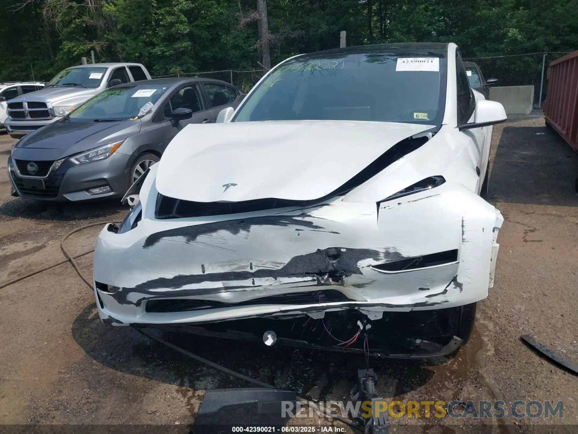 6 fotografías del automóvil dañado 7SAYGDEE1PF647564 TESLA MODEL Y 2023