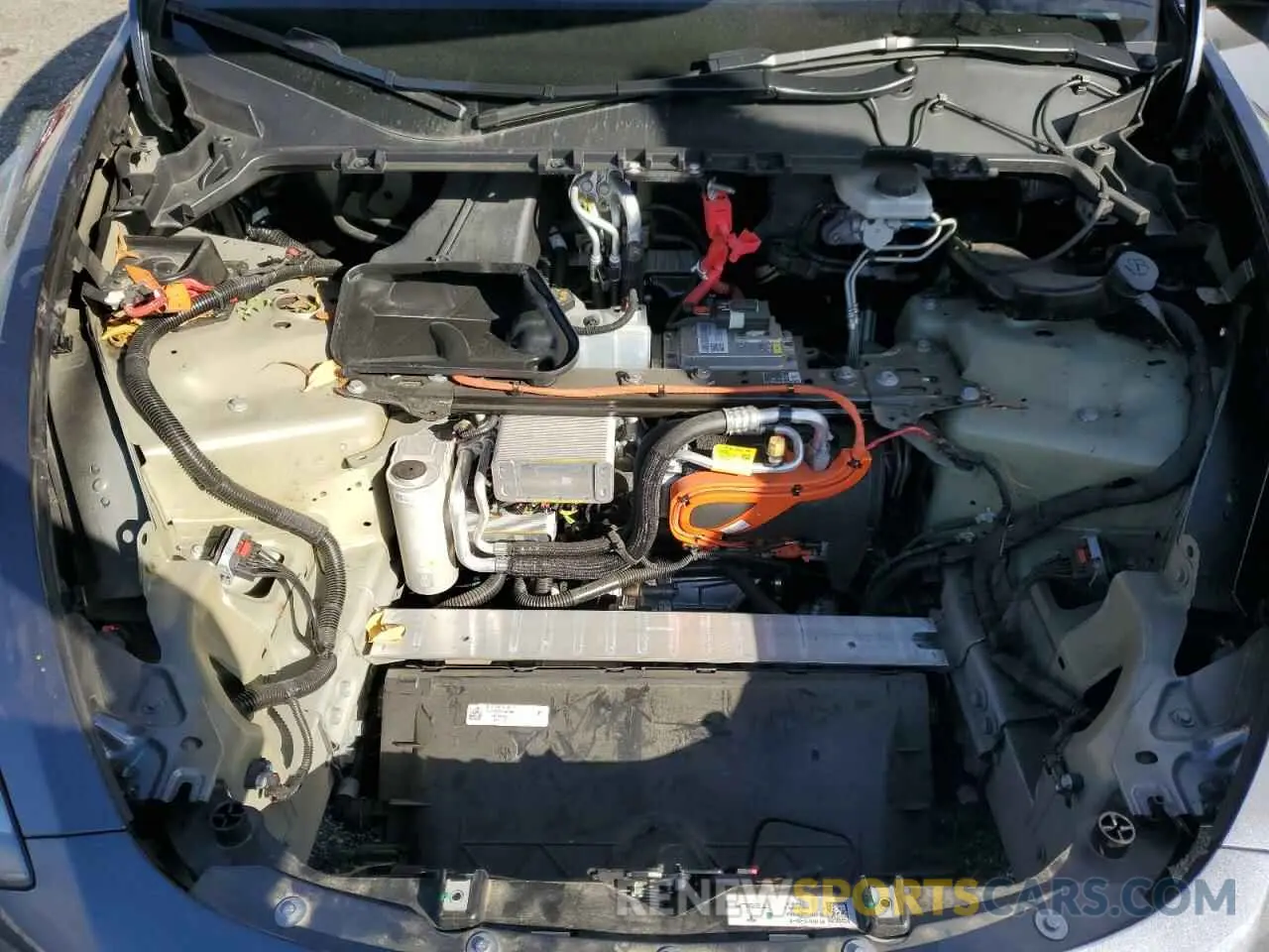 12 fotografías del automóvil dañado 7SAYGDEE1PF901211 TESLA MODEL Y 2023