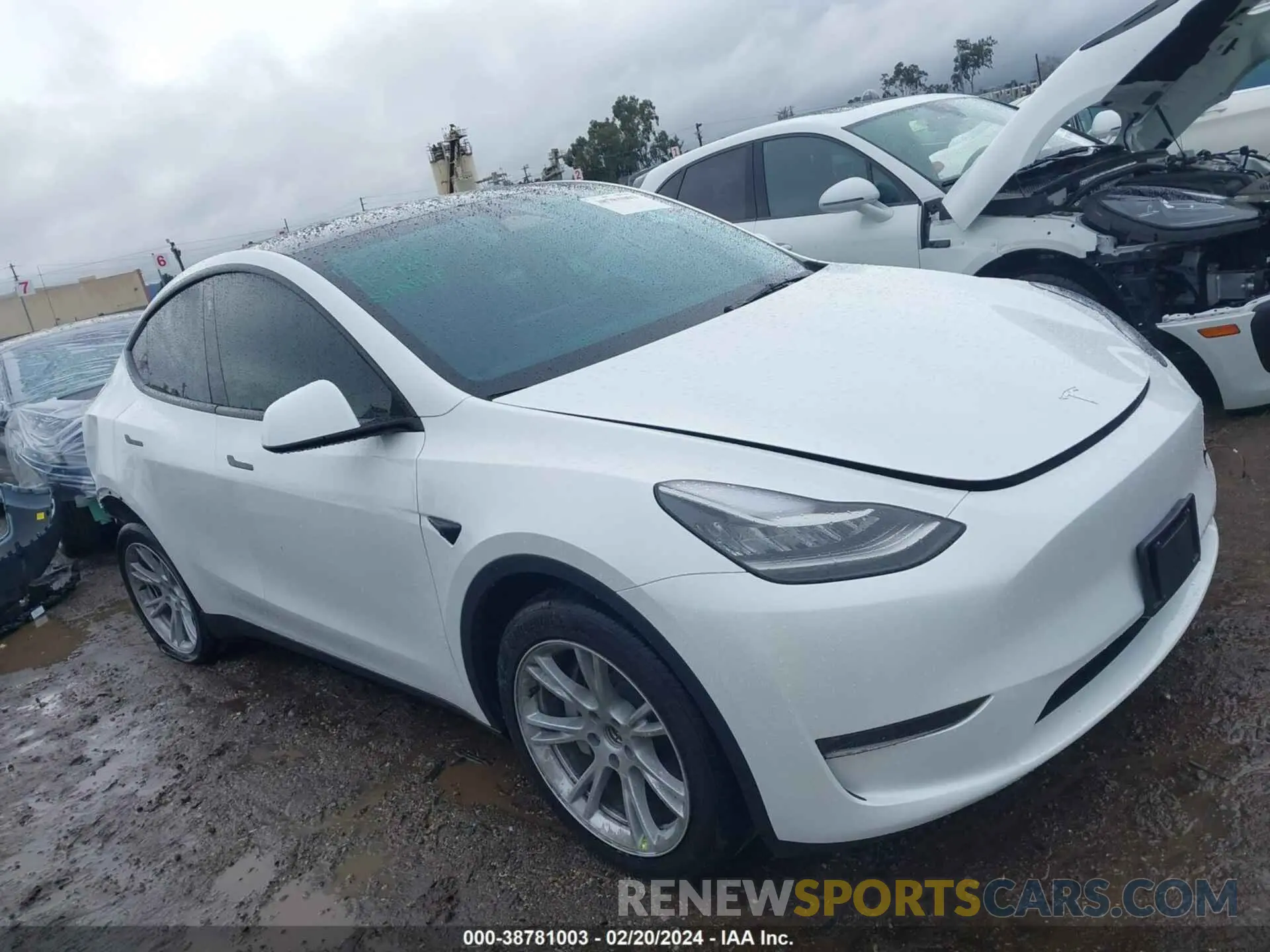 1 fotografías del automóvil dañado 7SAYGDEE2PA023463 TESLA MODEL Y 2023