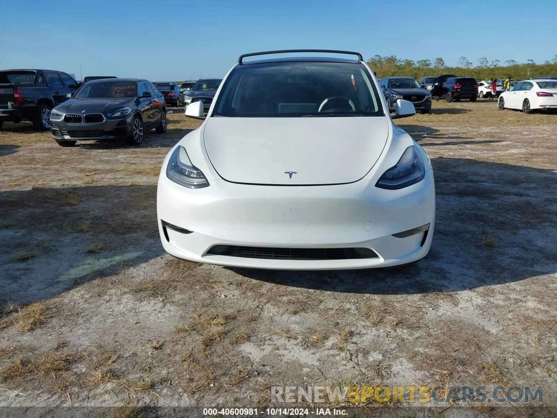 12 fotografías del automóvil dañado 7SAYGDEE2PA024869 TESLA MODEL Y 2023