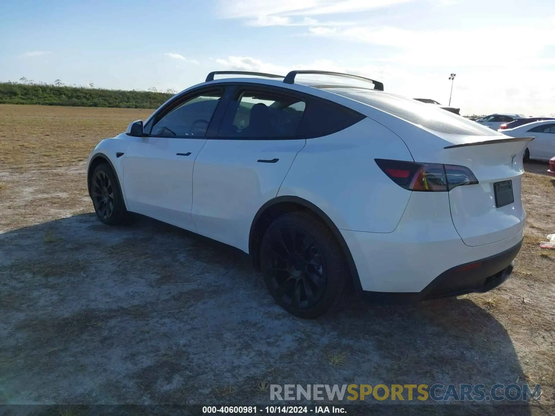3 fotografías del automóvil dañado 7SAYGDEE2PA024869 TESLA MODEL Y 2023