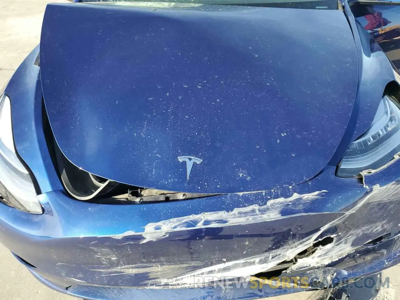 12 fotografías del automóvil dañado 7SAYGDEE2PA029912 TESLA MODEL Y 2023