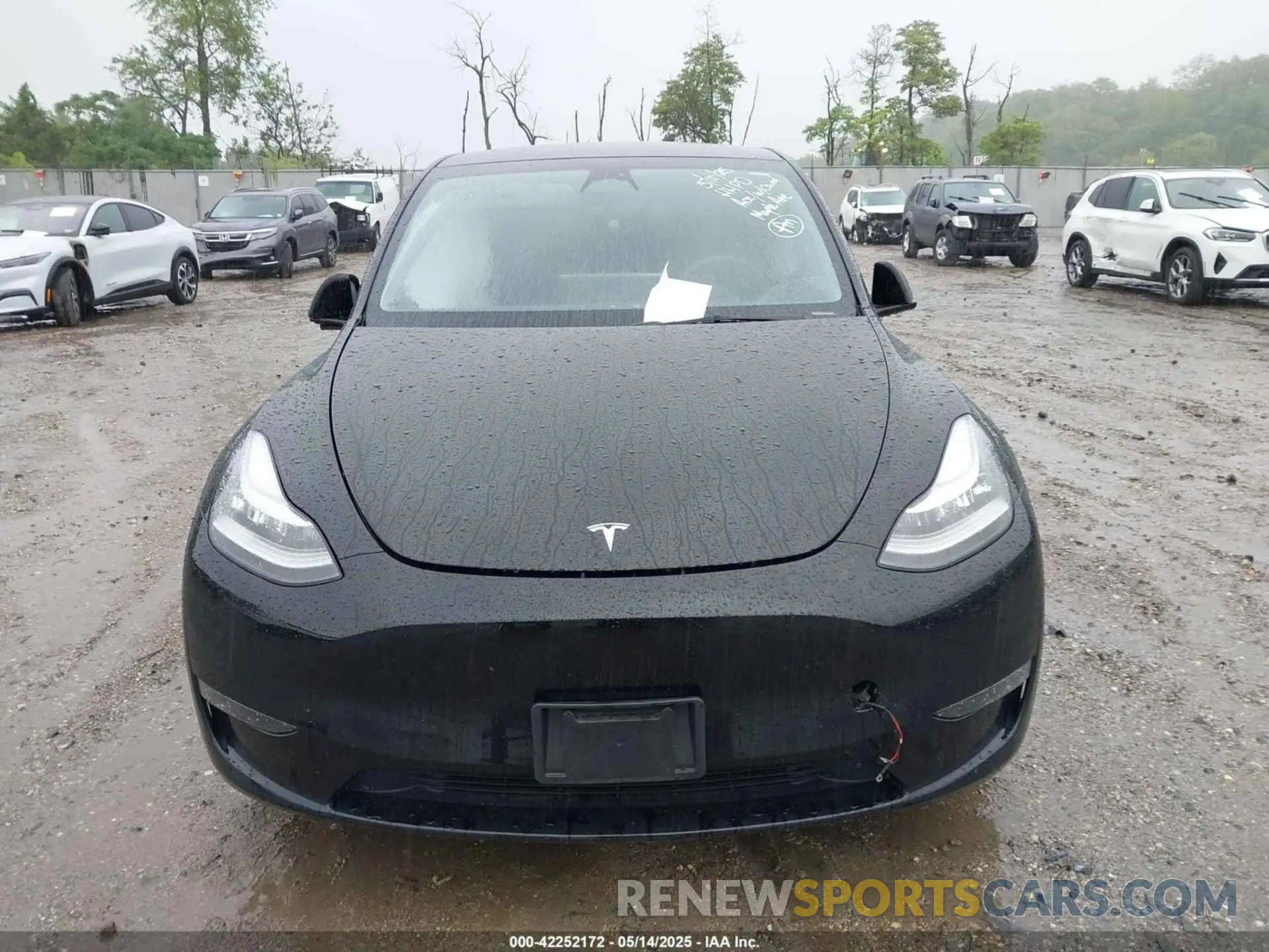 12 fotografías del automóvil dañado 7SAYGDEE2PA105631 TESLA MODEL Y 2023