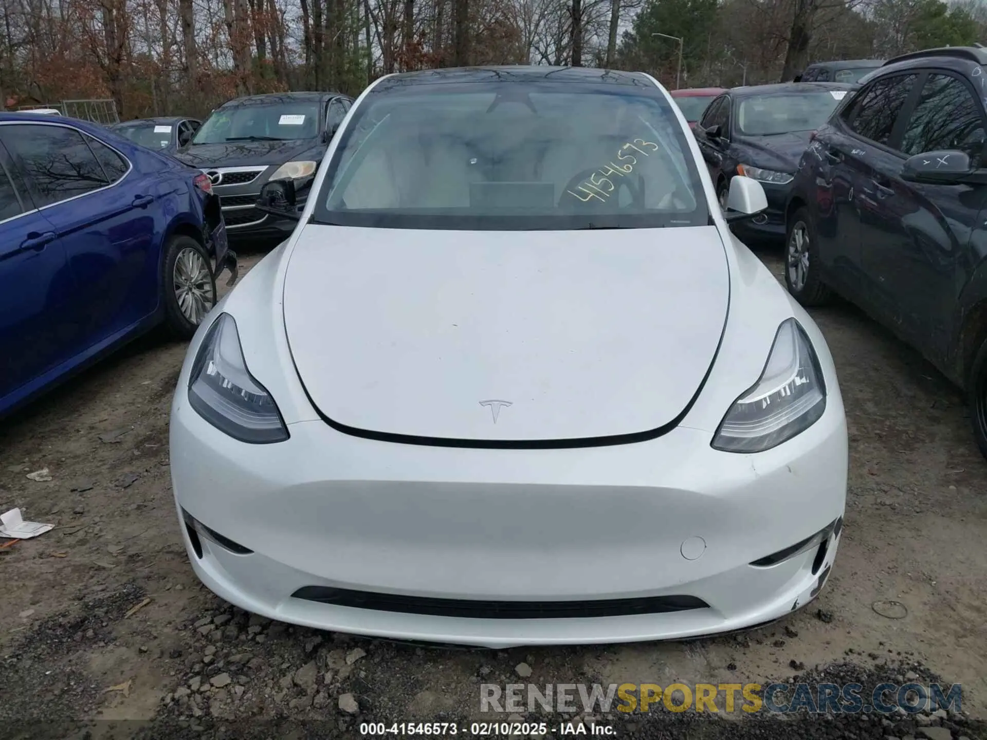 11 fotografías del automóvil dañado 7SAYGDEE2PA145398 TESLA MODEL Y 2023