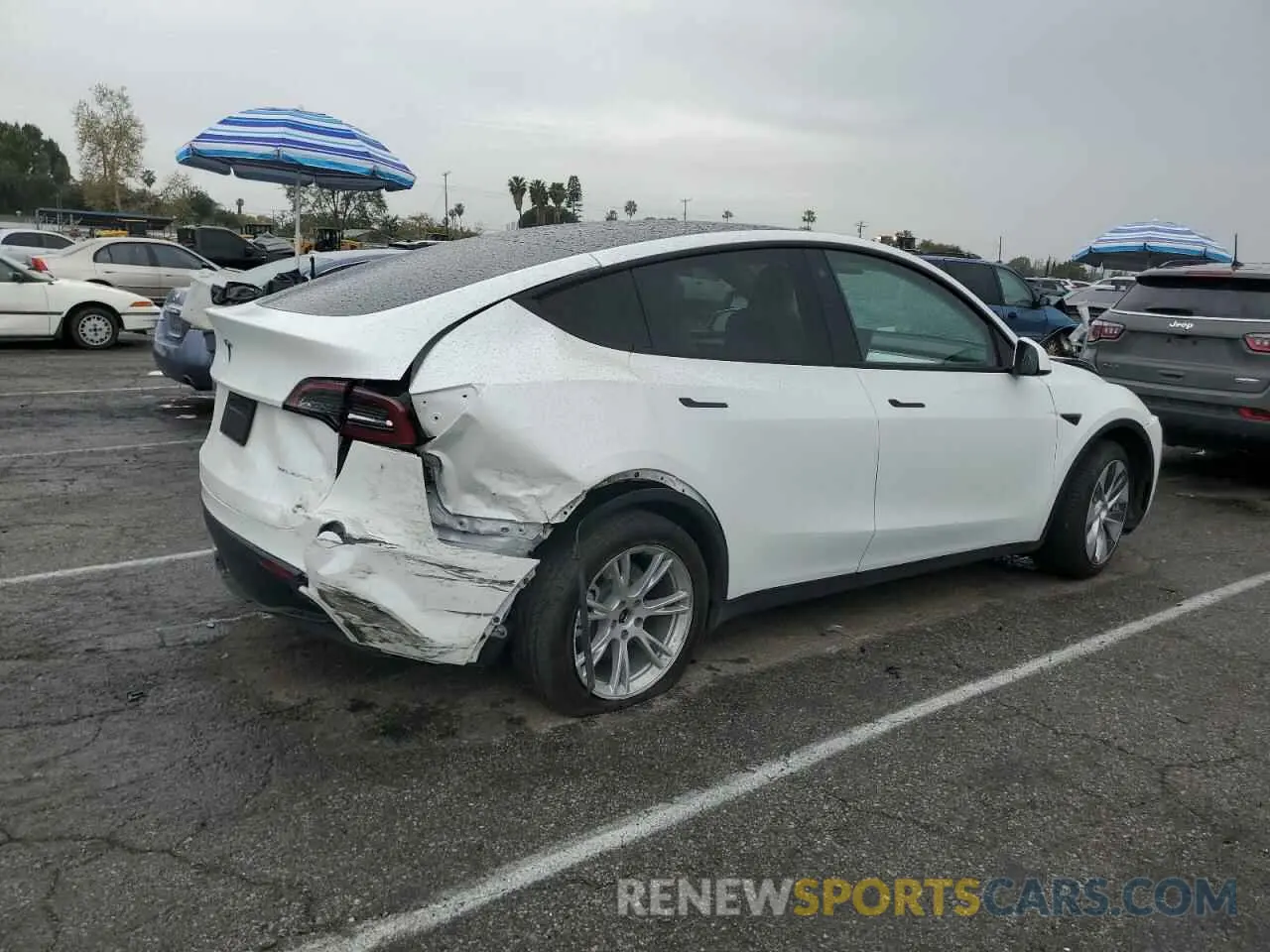 3 fotografías del automóvil dañado 7SAYGDEE2PF624598 TESLA MODEL Y 2023