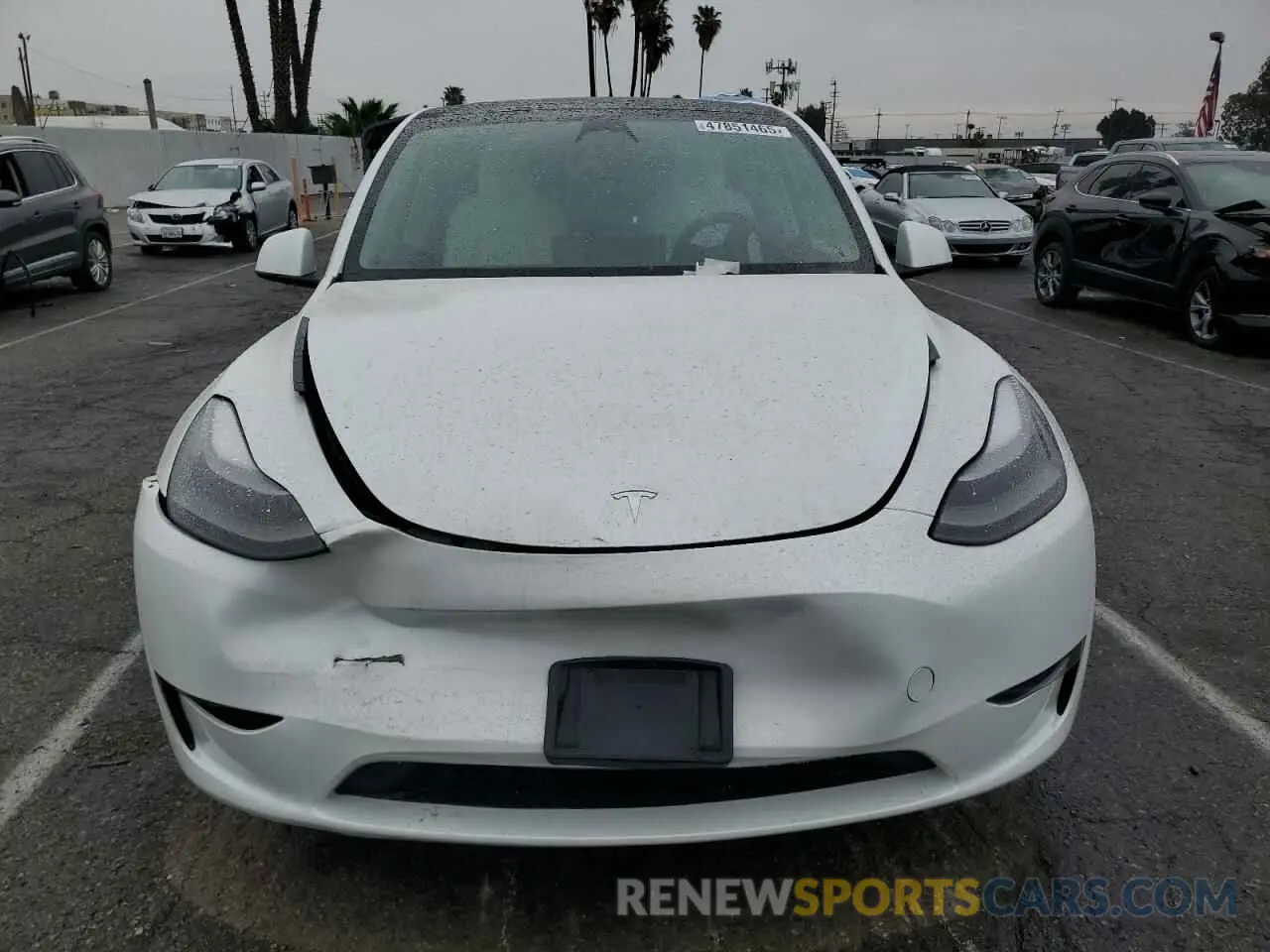 5 fotografías del automóvil dañado 7SAYGDEE2PF624598 TESLA MODEL Y 2023