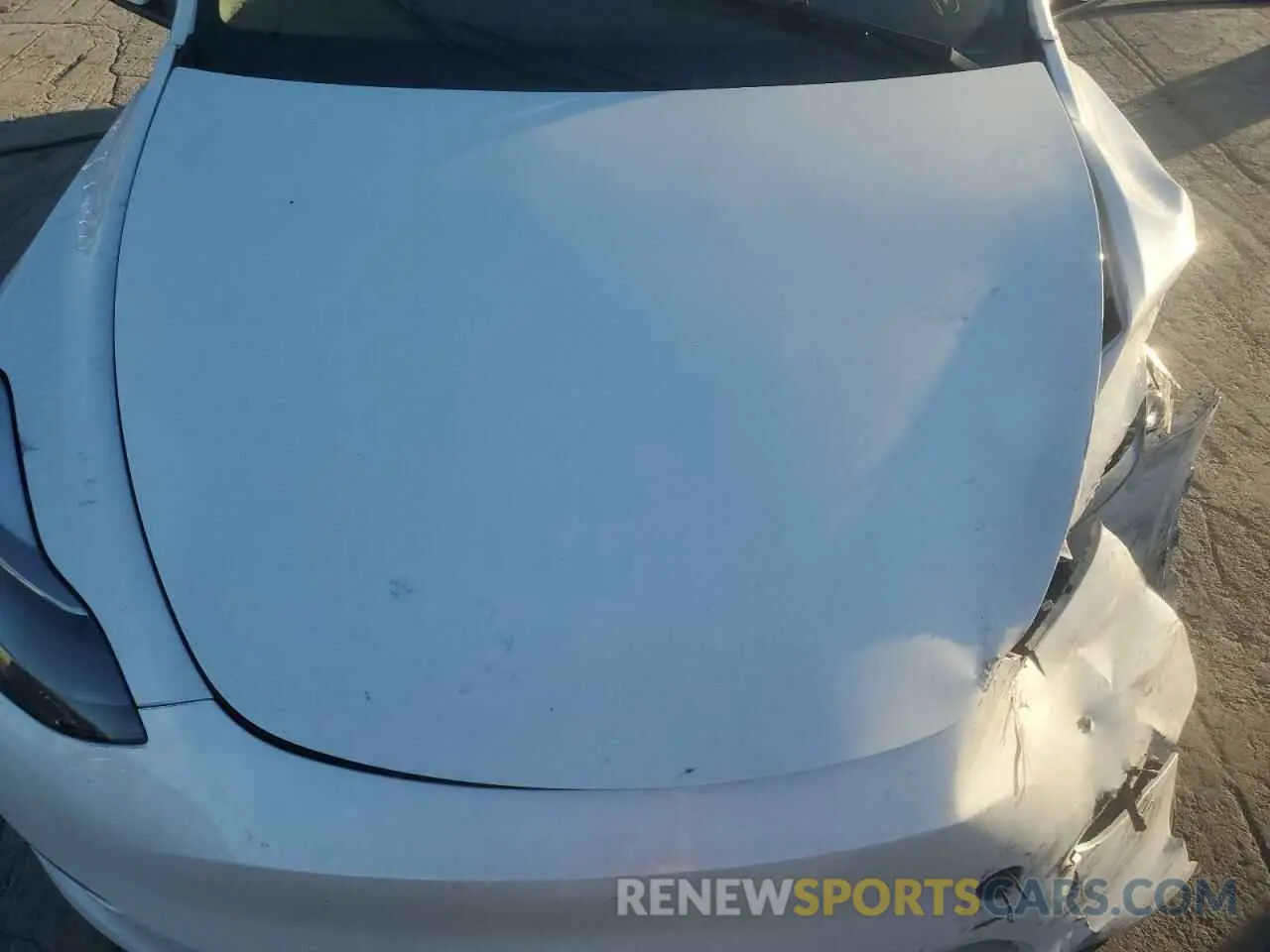 12 fotografías del automóvil dañado 7SAYGDEE2PF784609 TESLA MODEL Y 2023