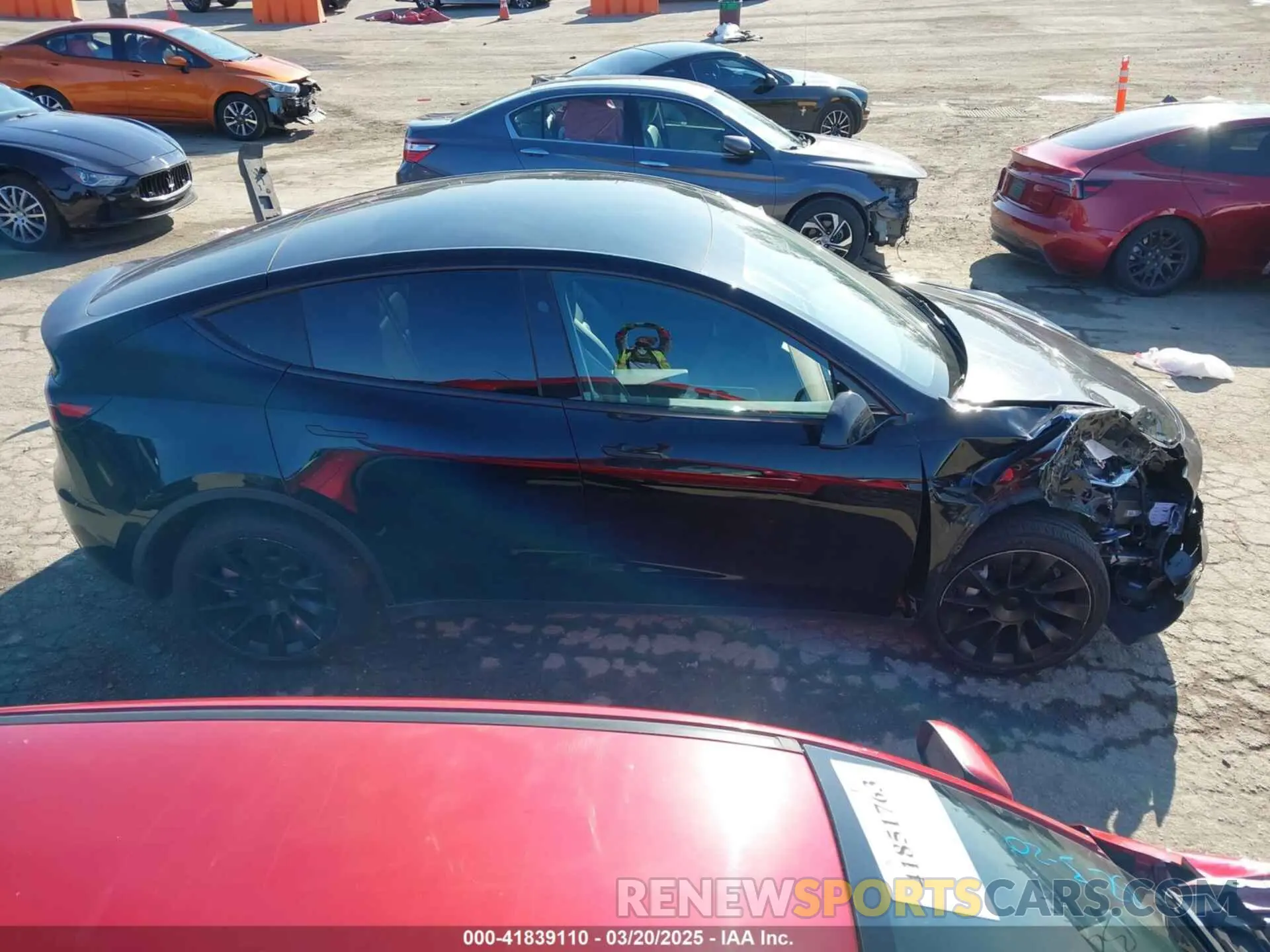 13 fotografías del automóvil dañado 7SAYGDEE3PA131056 TESLA MODEL Y 2023