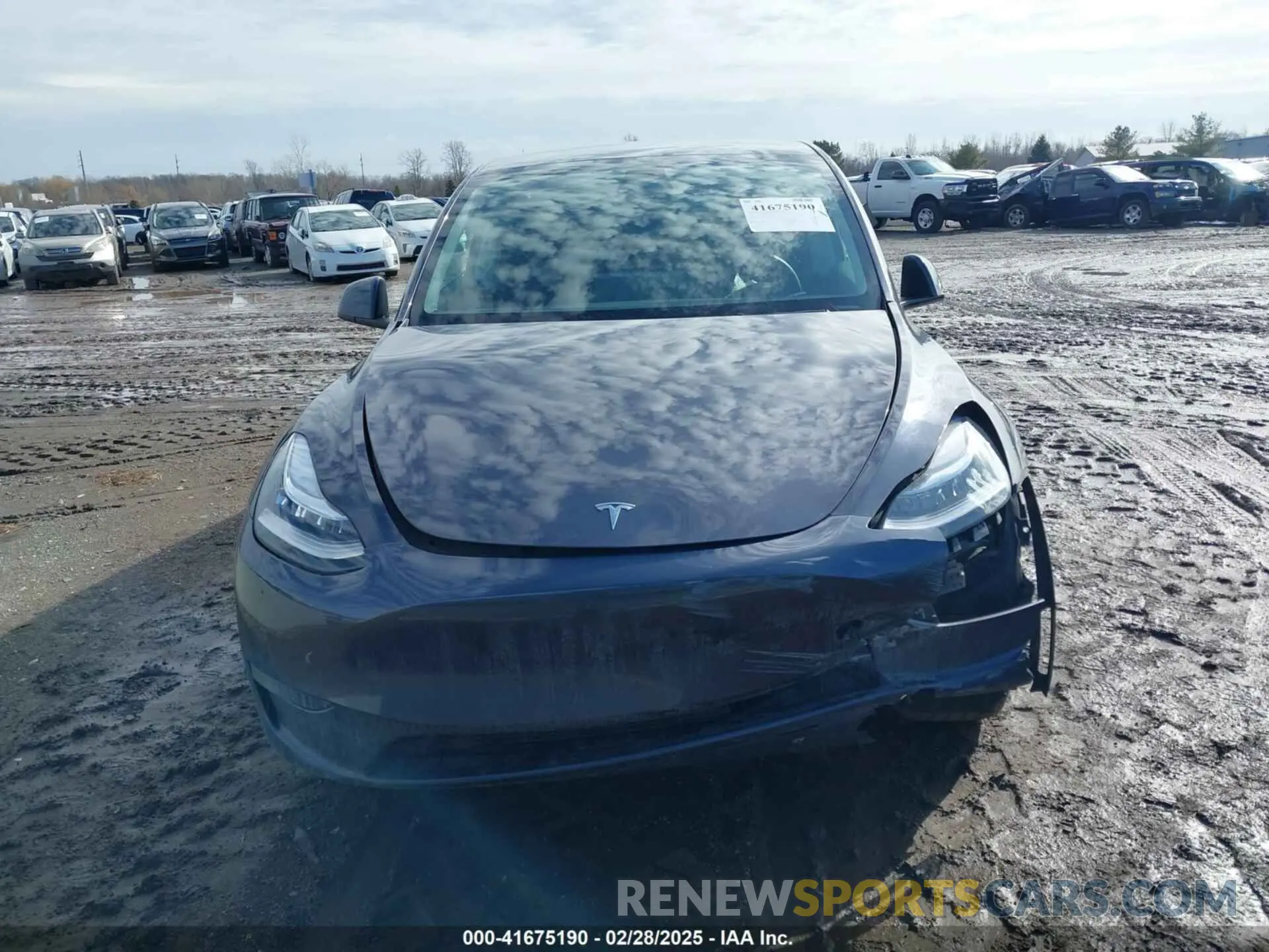 11 fotografías del automóvil dañado 7SAYGDEE3PF600780 TESLA MODEL Y 2023