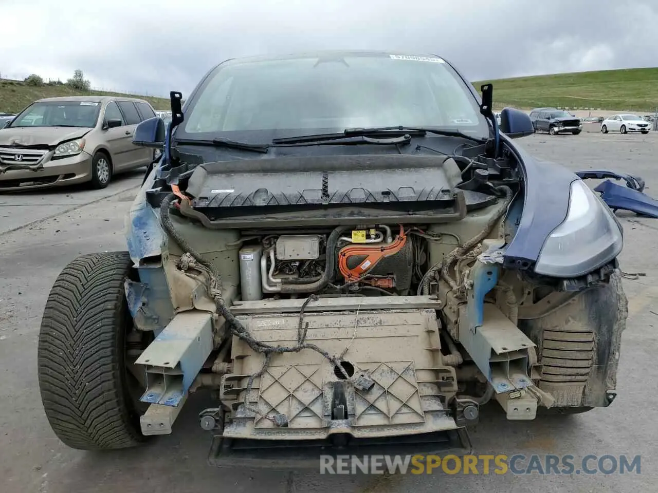 5 fotografías del automóvil dañado 7SAYGDEE3PF710356 TESLA MODEL Y 2023