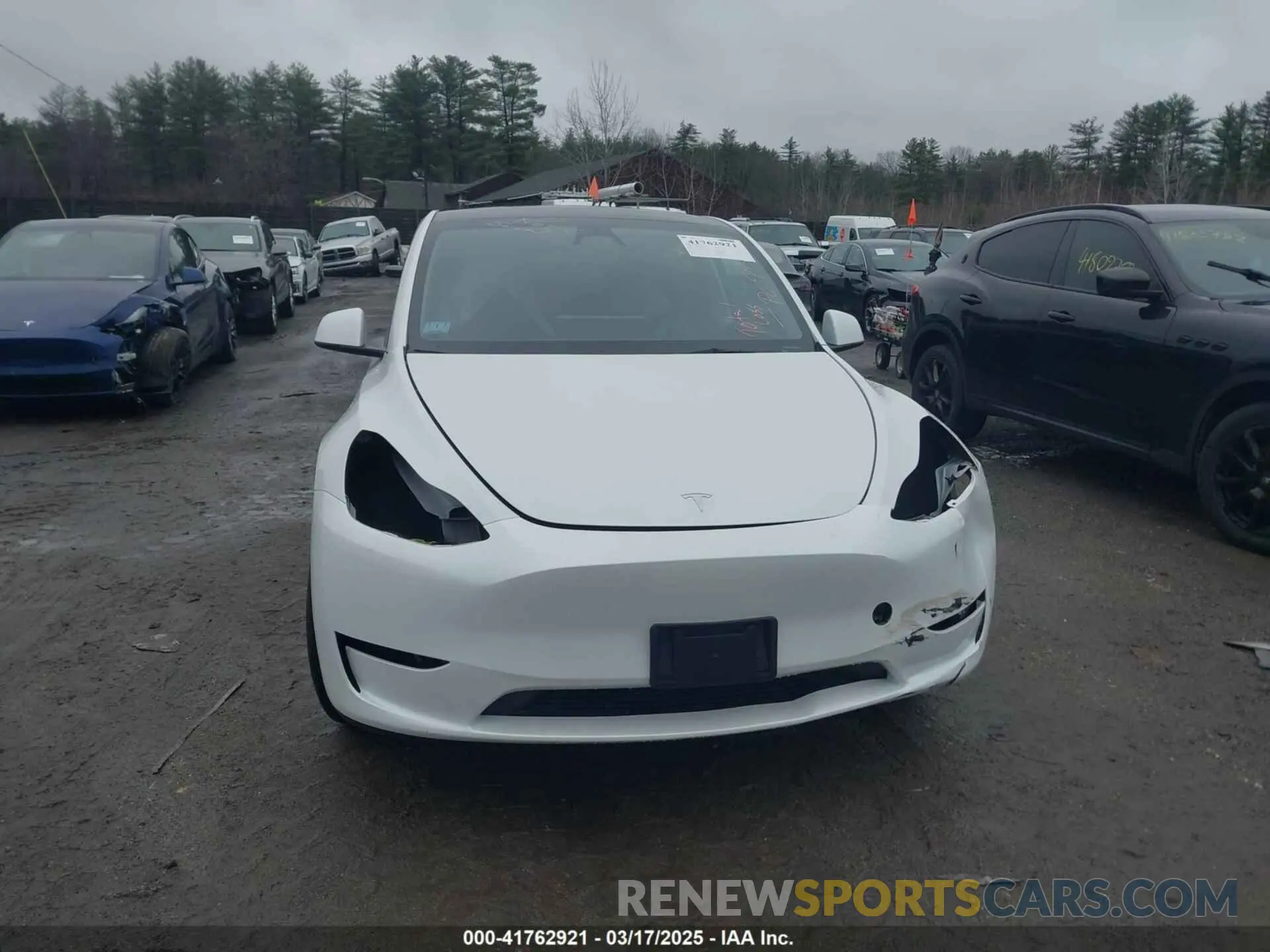 13 fotografías del automóvil dañado 7SAYGDEE3PF857633 TESLA MODEL Y 2023