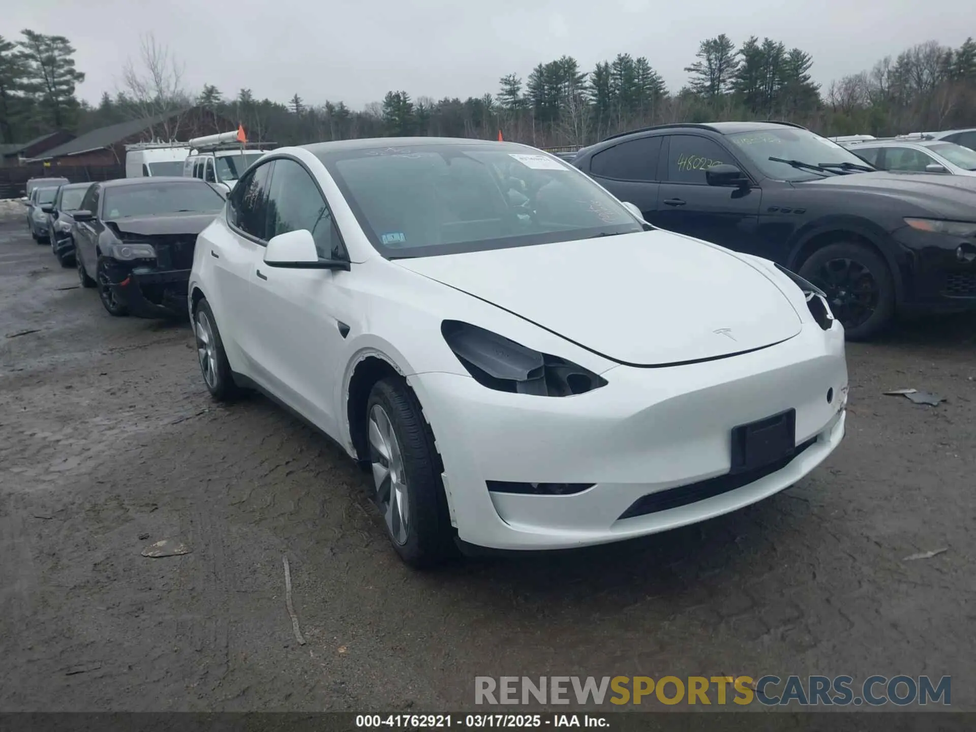 14 fotografías del automóvil dañado 7SAYGDEE3PF857633 TESLA MODEL Y 2023