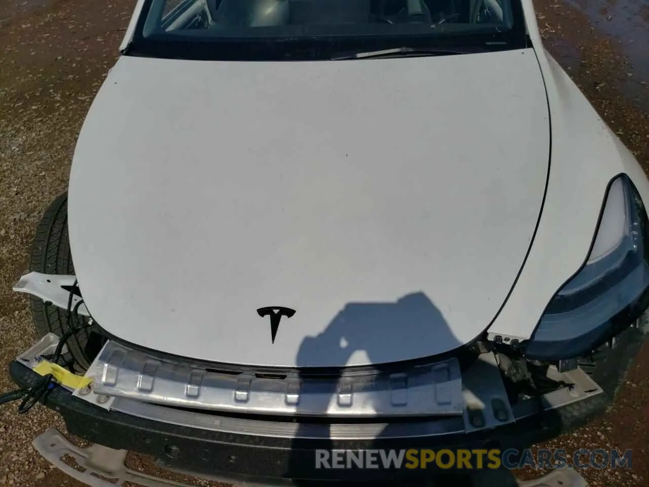 11 fotografías del automóvil dañado 7SAYGDEE4PA079484 TESLA MODEL Y 2023
