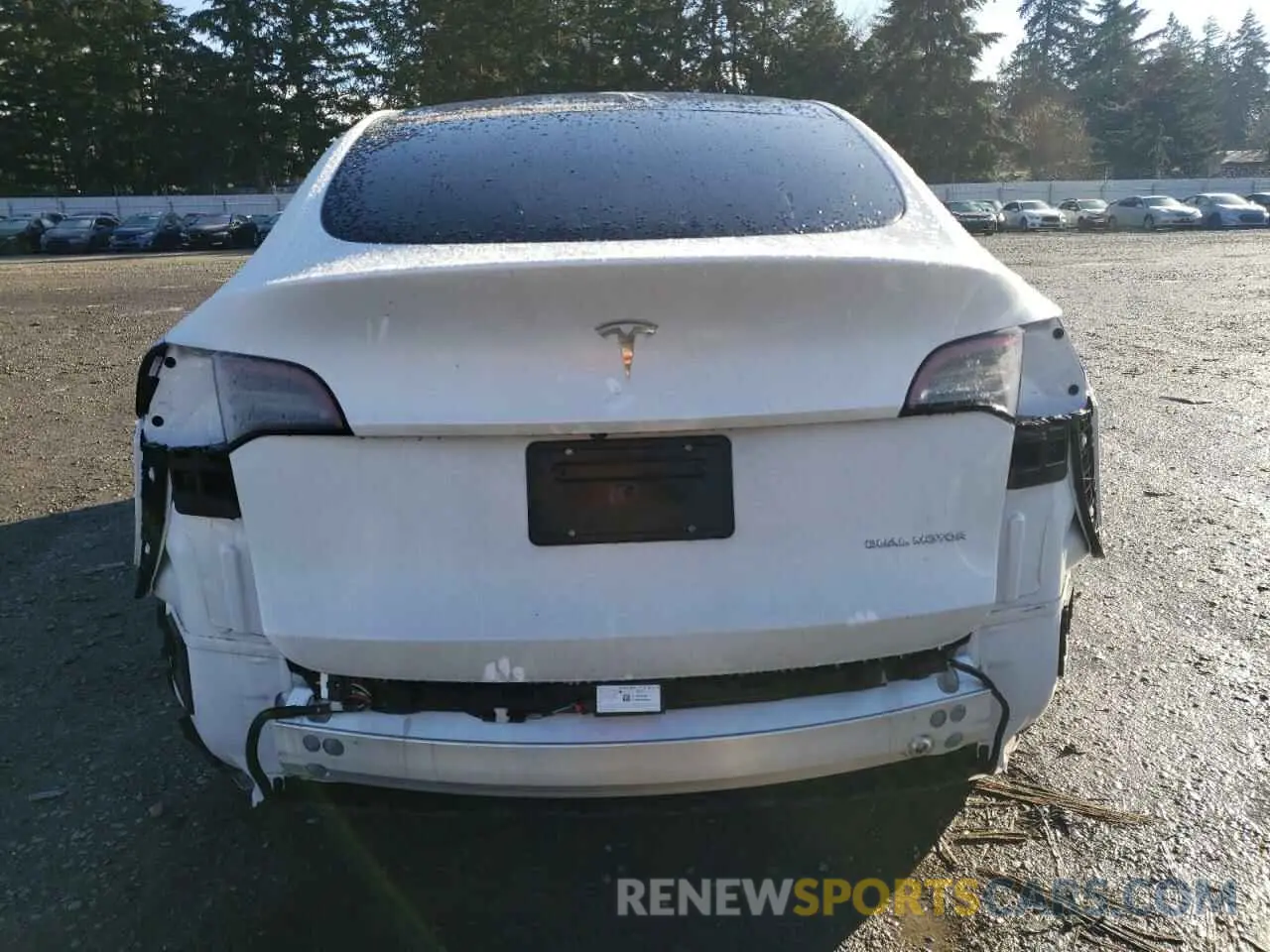 6 fotografías del automóvil dañado 7SAYGDEE4PA125640 TESLA MODEL Y 2023