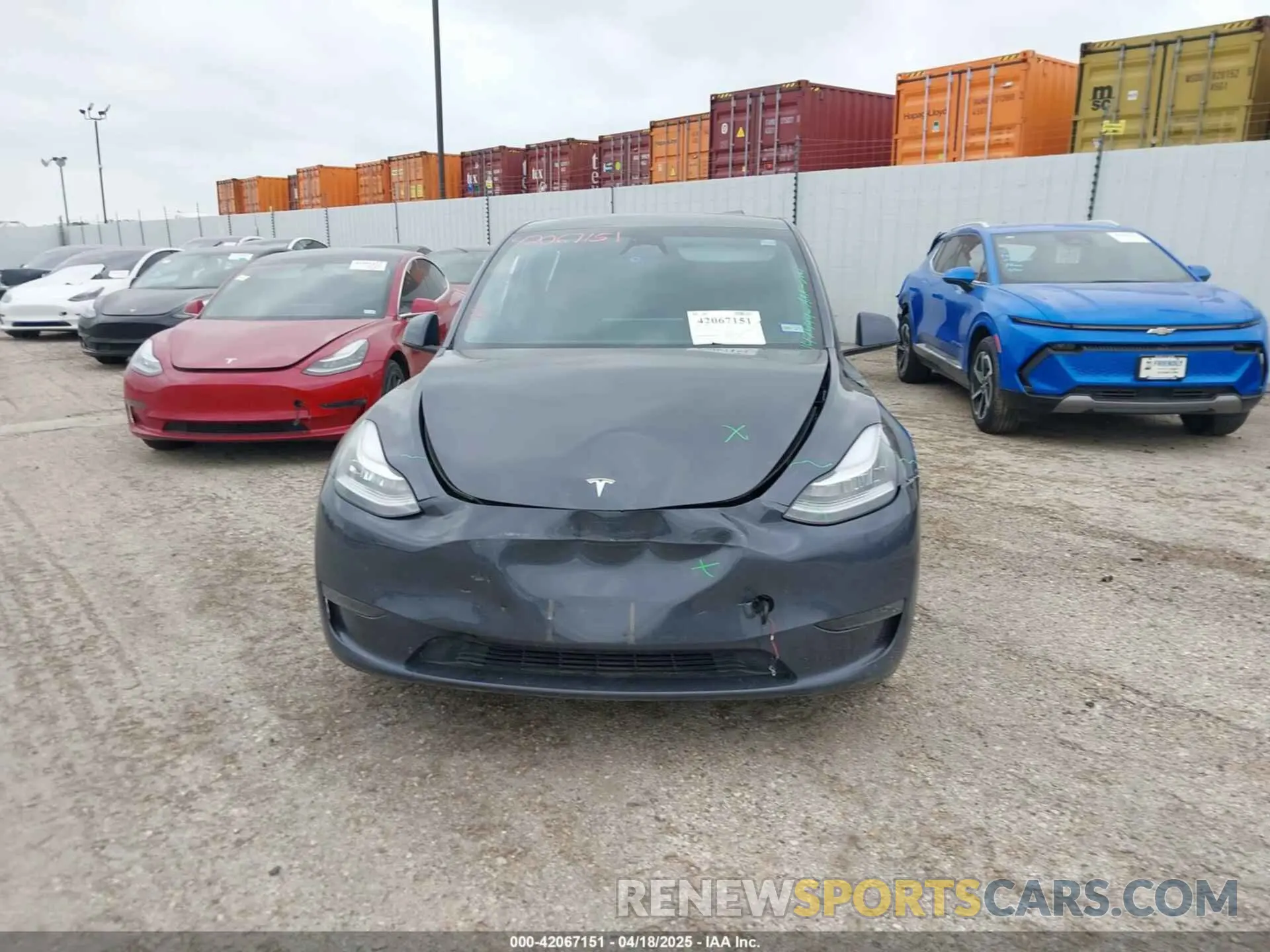 11 fotografías del automóvil dañado 7SAYGDEE4PA147444 TESLA MODEL Y 2023