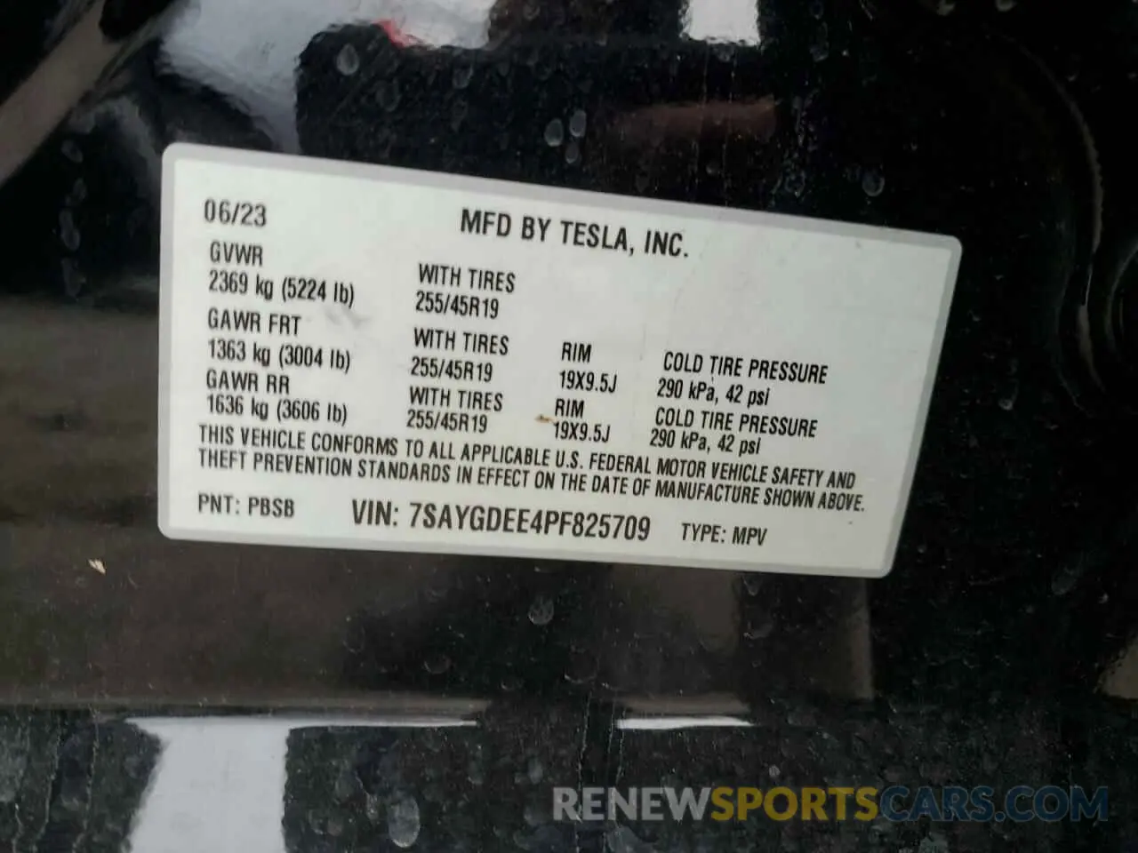12 fotografías del automóvil dañado 7SAYGDEE4PF825709 TESLA MODEL Y 2023