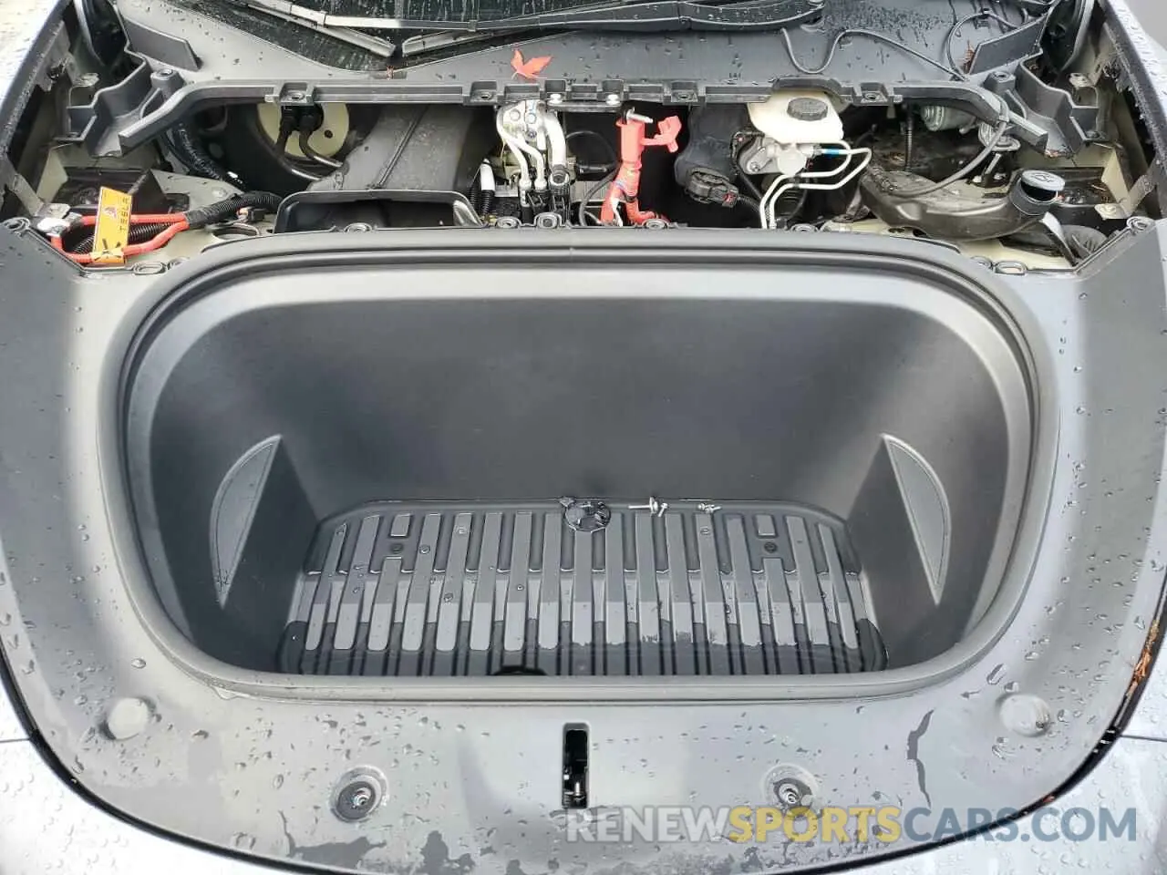12 fotografías del automóvil dañado 7SAYGDEE4PF914079 TESLA MODEL Y 2023