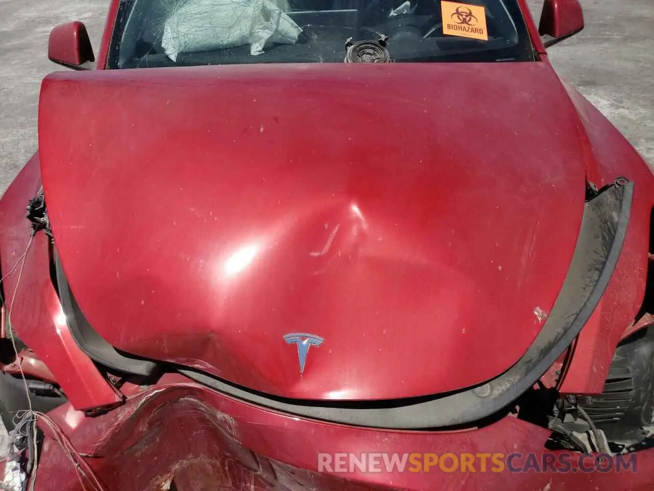 12 fotografías del automóvil dañado 7SAYGDEE5PA042802 TESLA MODEL Y 2023