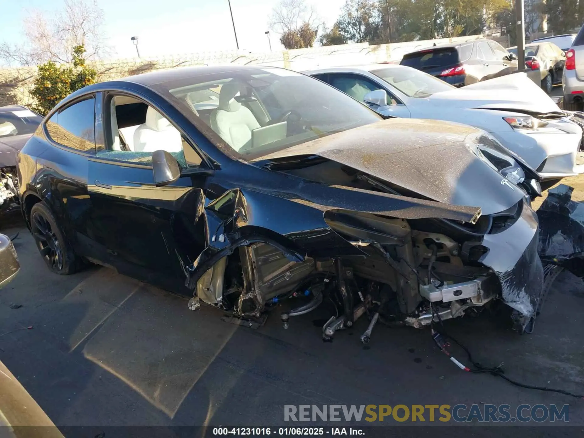 13 fotografías del automóvil dañado 7SAYGDEE5PA105834 TESLA MODEL Y 2023