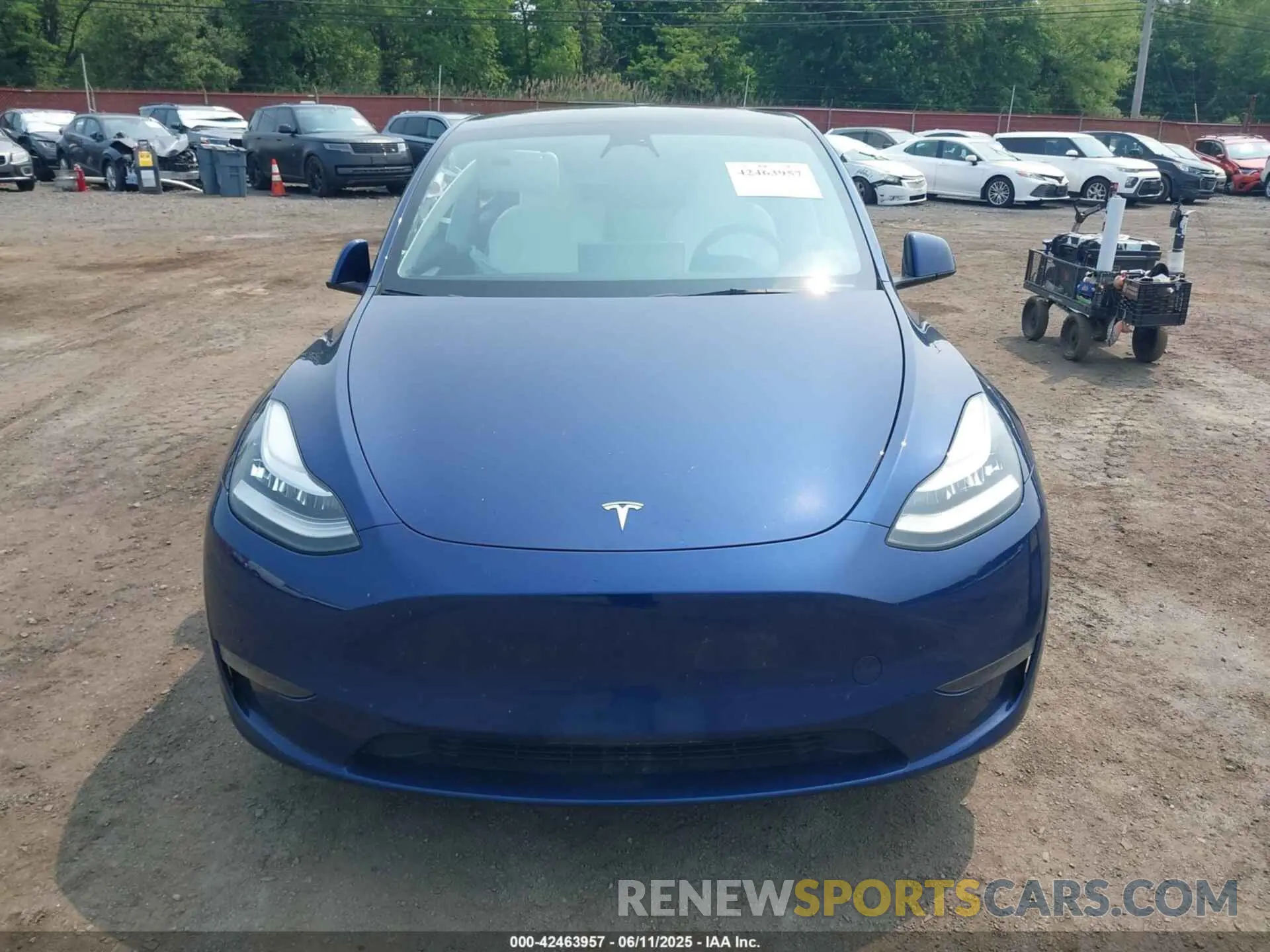 12 fotografías del automóvil dañado 7SAYGDEE5PF613627 TESLA MODEL Y 2023