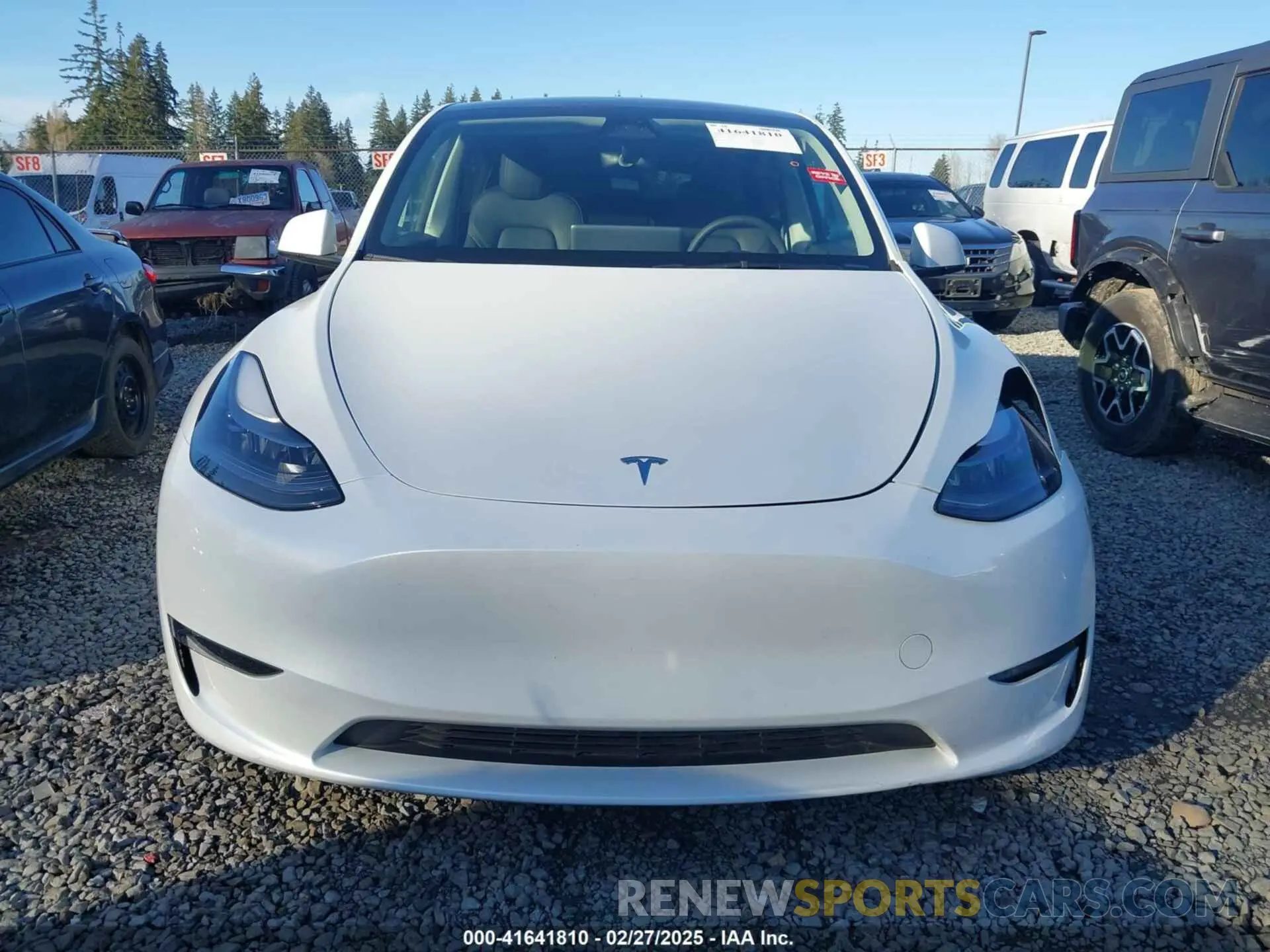 12 fotografías del automóvil dañado 7SAYGDEE5PF787651 TESLA MODEL Y 2023