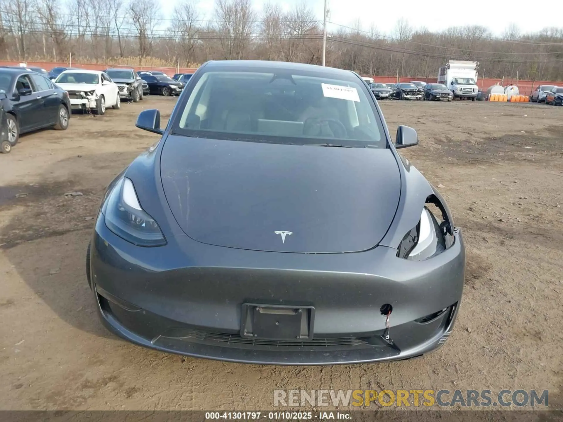 12 fotografías del automóvil dañado 7SAYGDEE5PF801998 TESLA MODEL Y 2023
